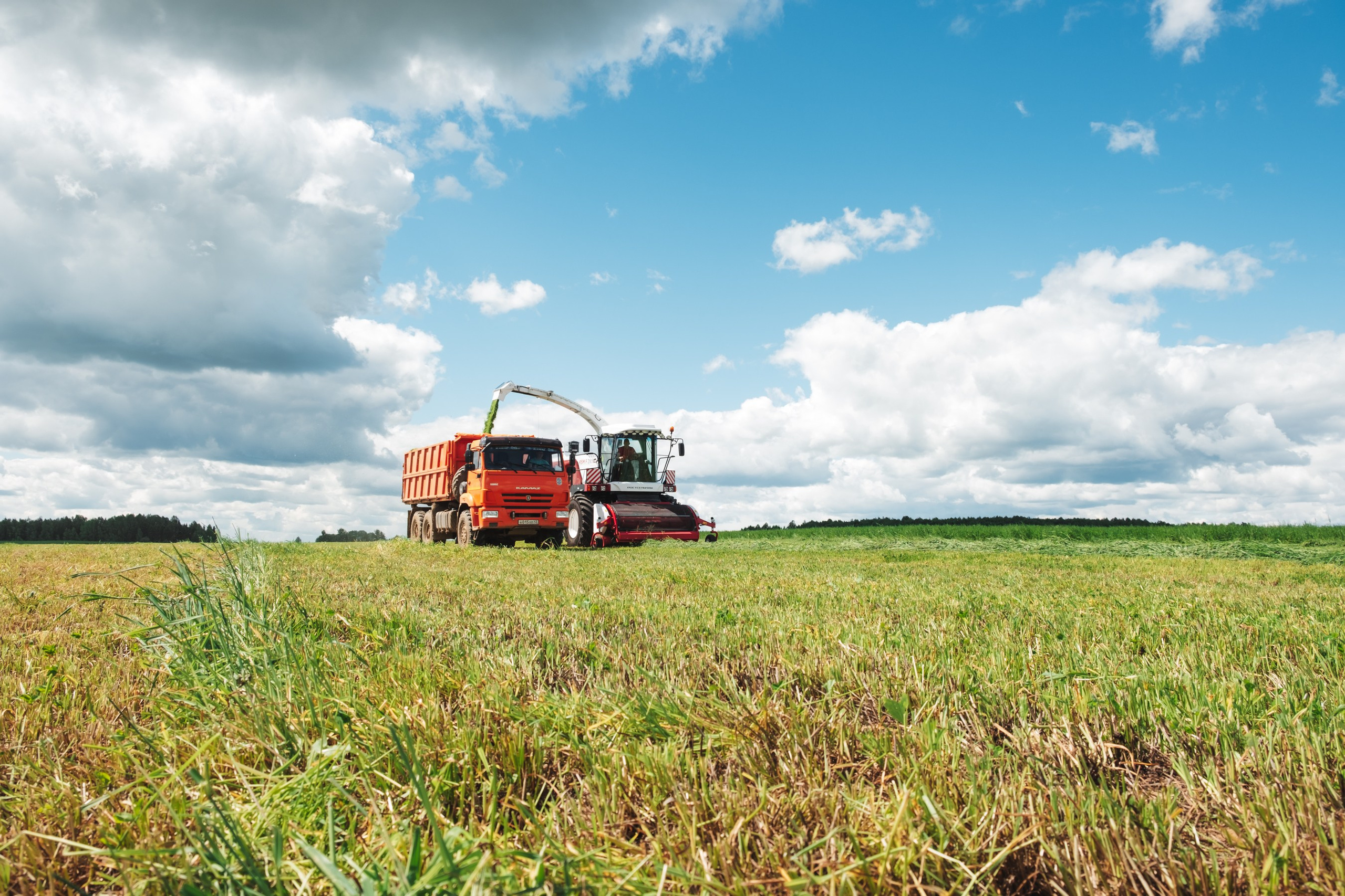 «Вятушка» и «РОСТСЕЛЬМАШ». Varankin denis