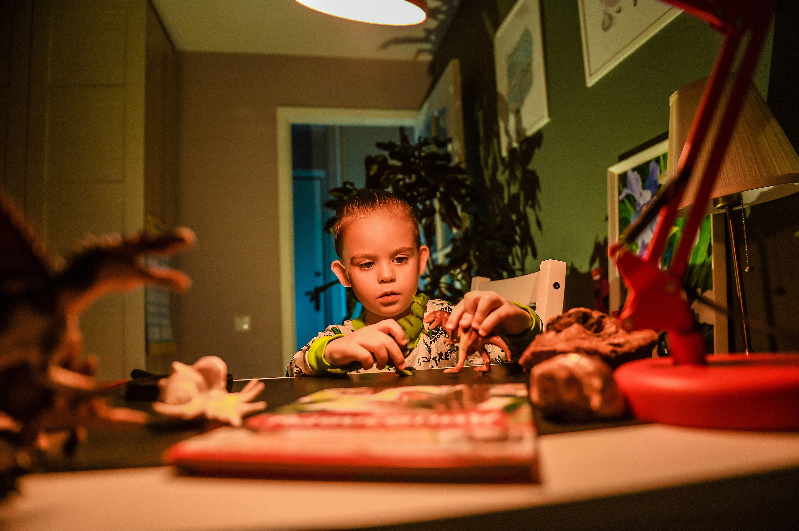 Детская домашняя кабинет натуралиста. Свадебный, семейный, детский, контент фотограф в Омске Максим Ильин