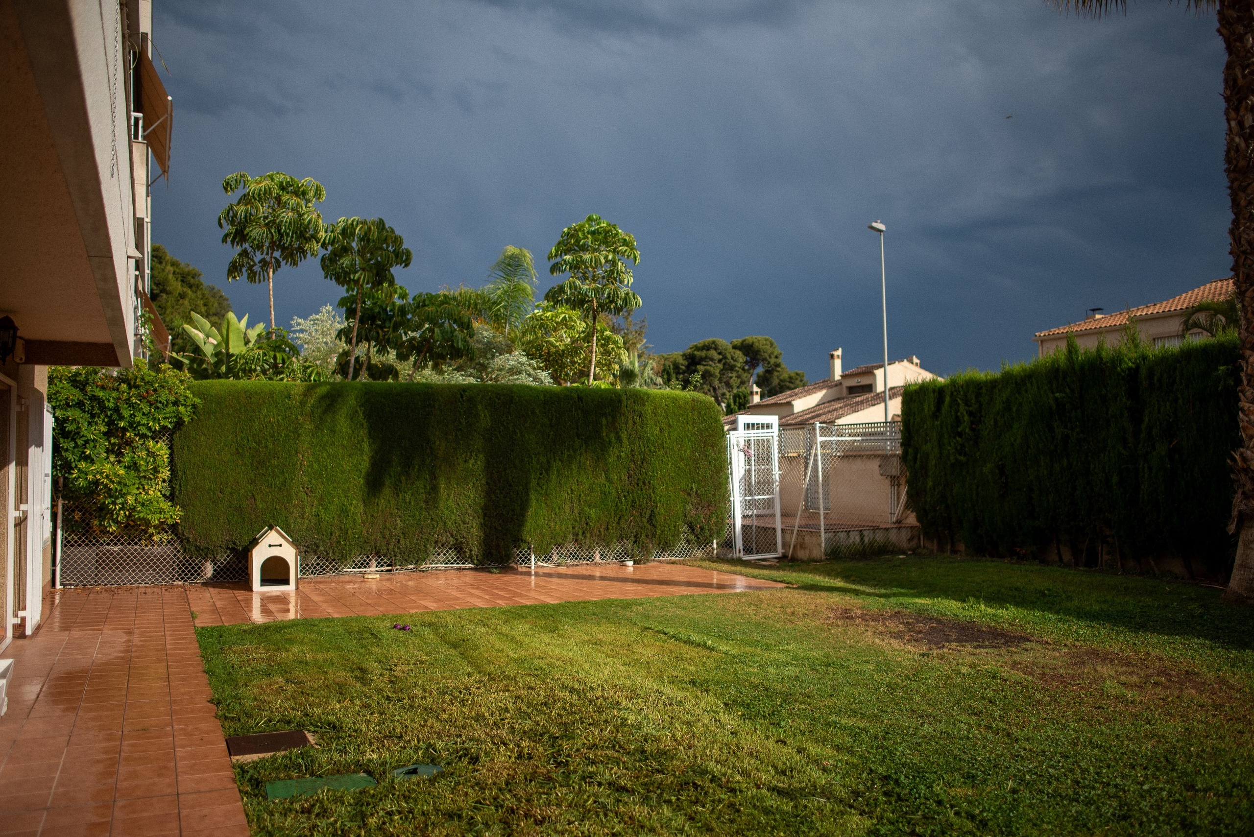 Alicante. Day in the Life. Documentary family photography in Barcelona and beyond