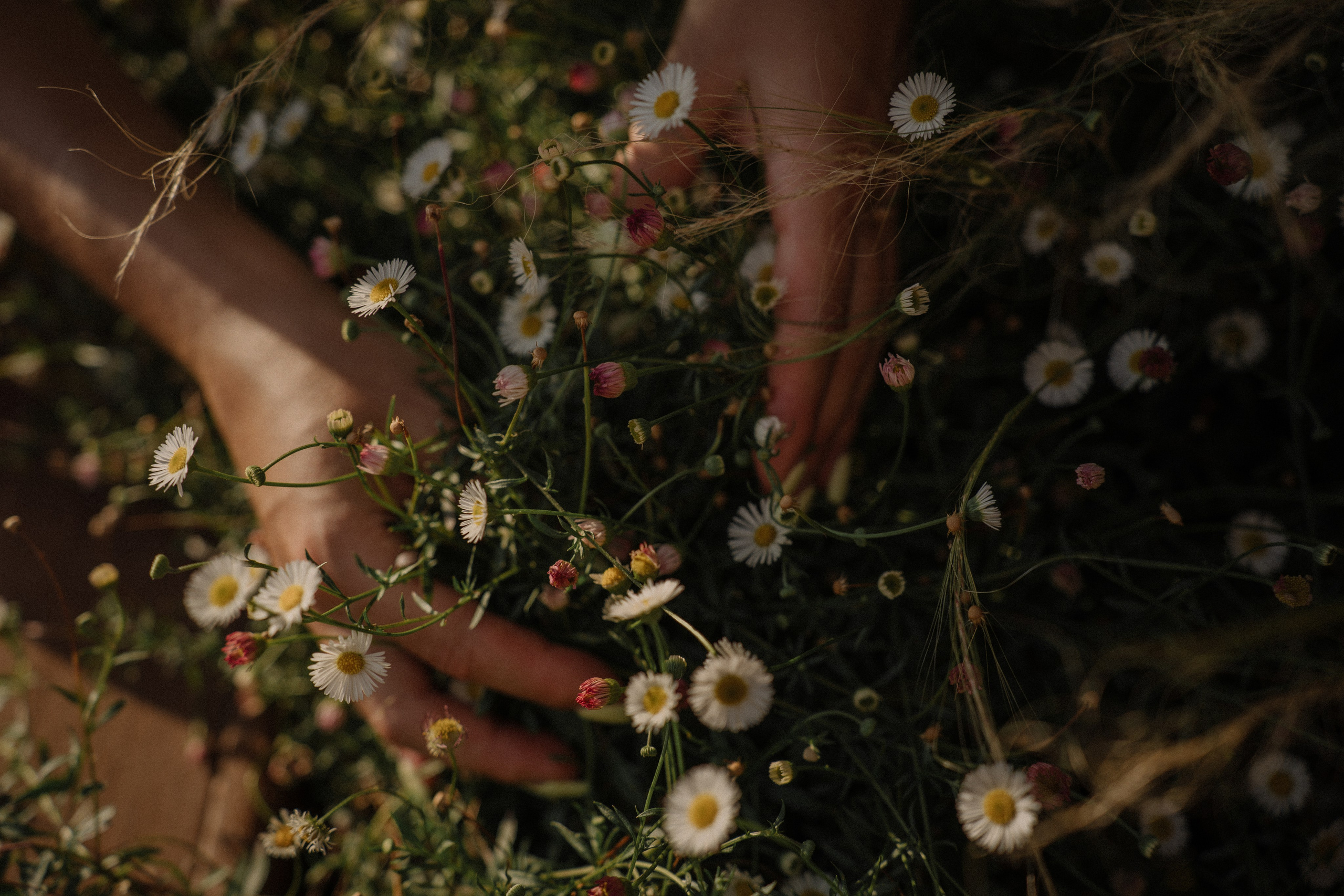 15. Фотограф Батуми | Ксения Кинасова