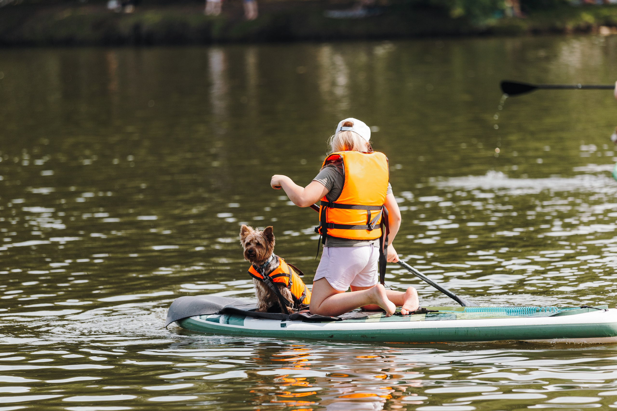 Petshop Sup day. Фотограф анималист Кристина Карпова, Москва