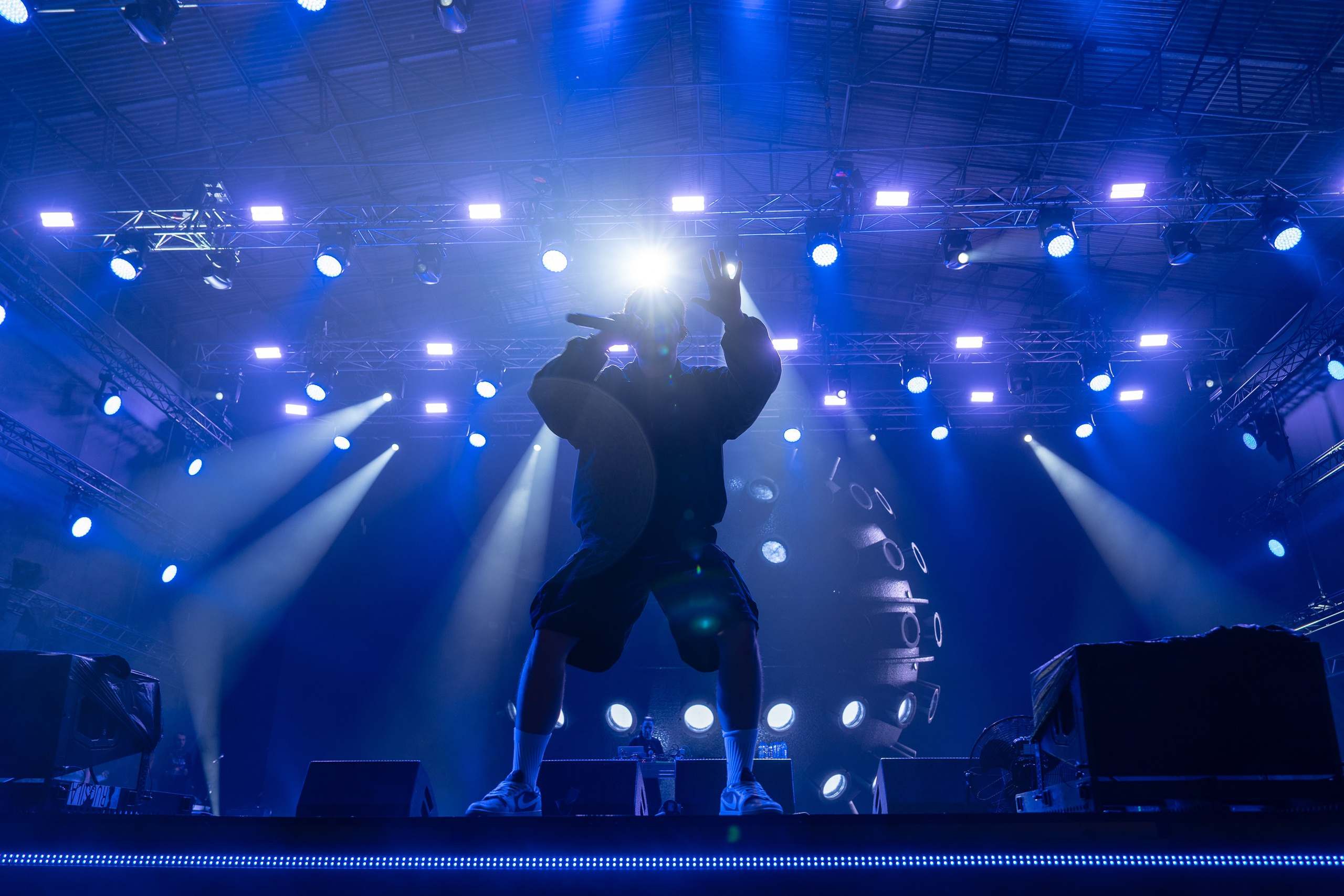 Фотографии музыкального фестиваля Дикая Мята 2025. Фотограф Николай Прокофьев модельные тесты в Москве