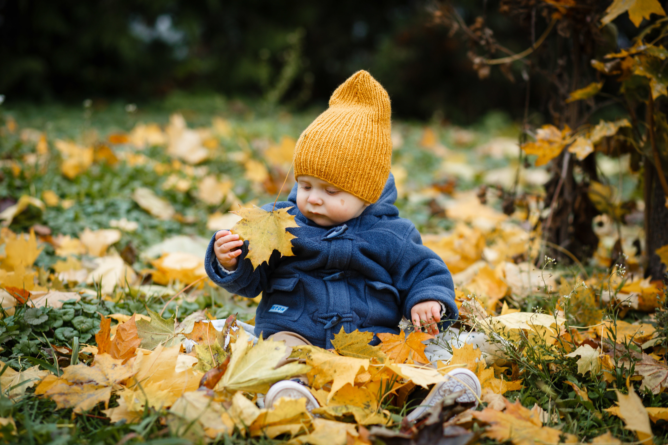 Семья и дети. Свадебный и семейный фотограф в Несвиже Ксения Самойлик