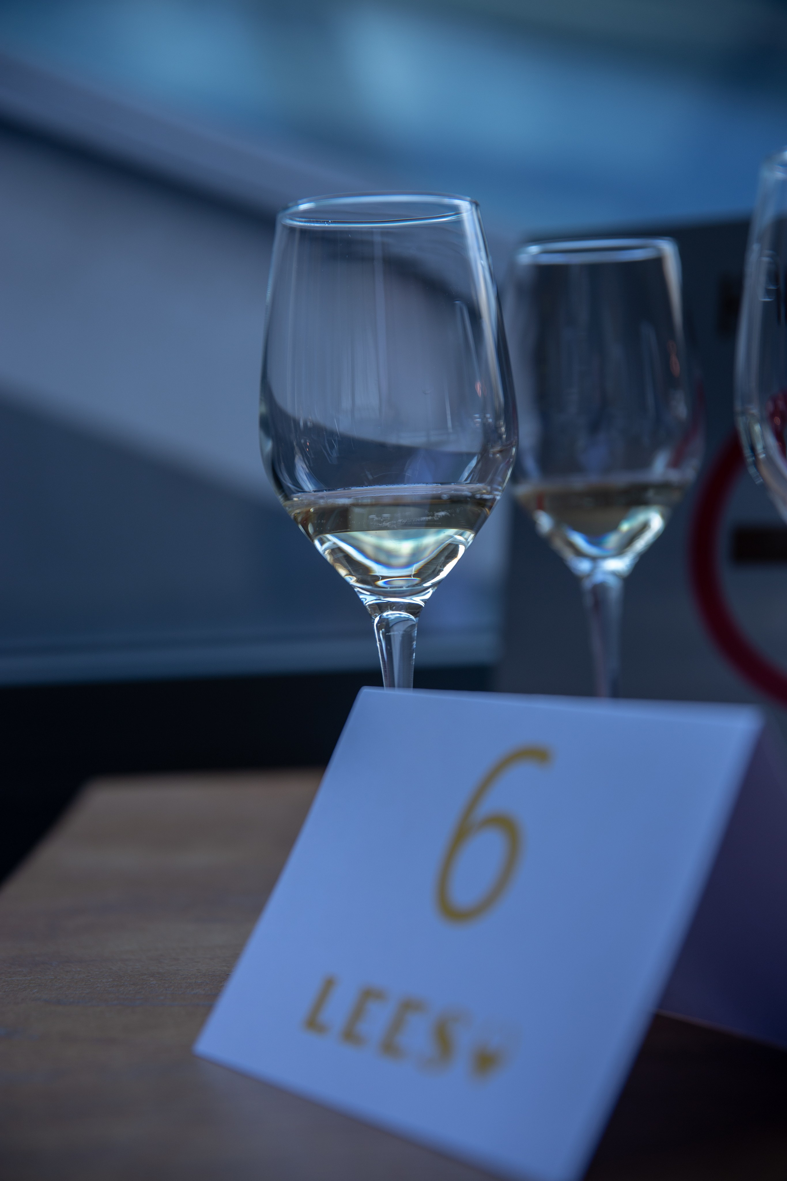 Фестиваль шампанского. Юлия Холина — ваш фотограф в Москве