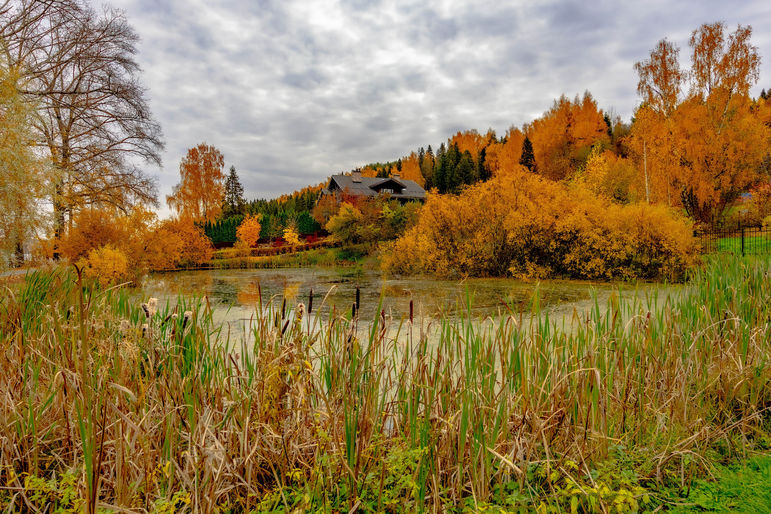 ПЛАНЕТА ЗЕМЛЯ (пейзаж). АЛЕКСЕЙ КОЛМАКОВ. Фотограф. Москва и Московская область