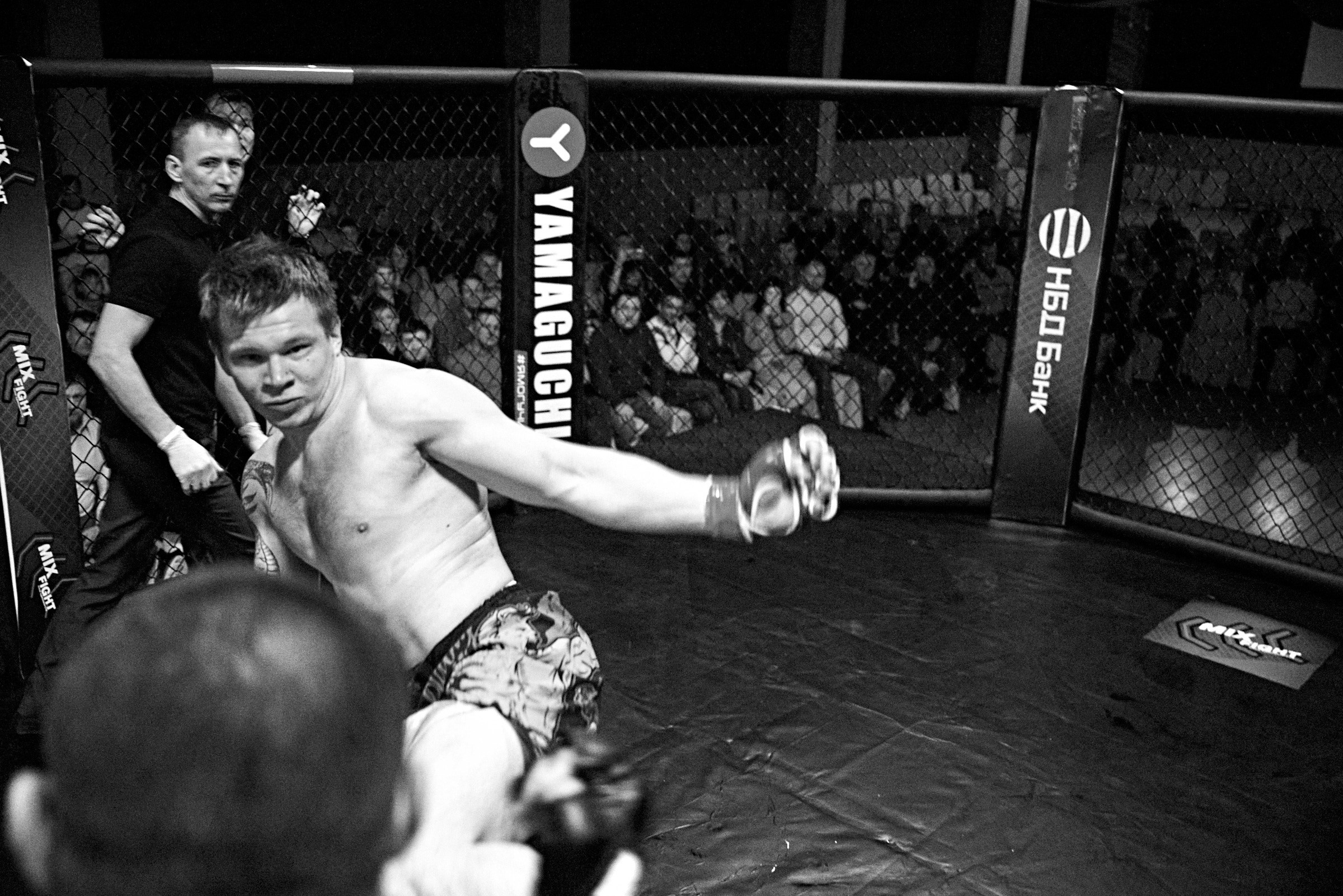 Бои. Маляревич Дмитрий свадебный фотограф