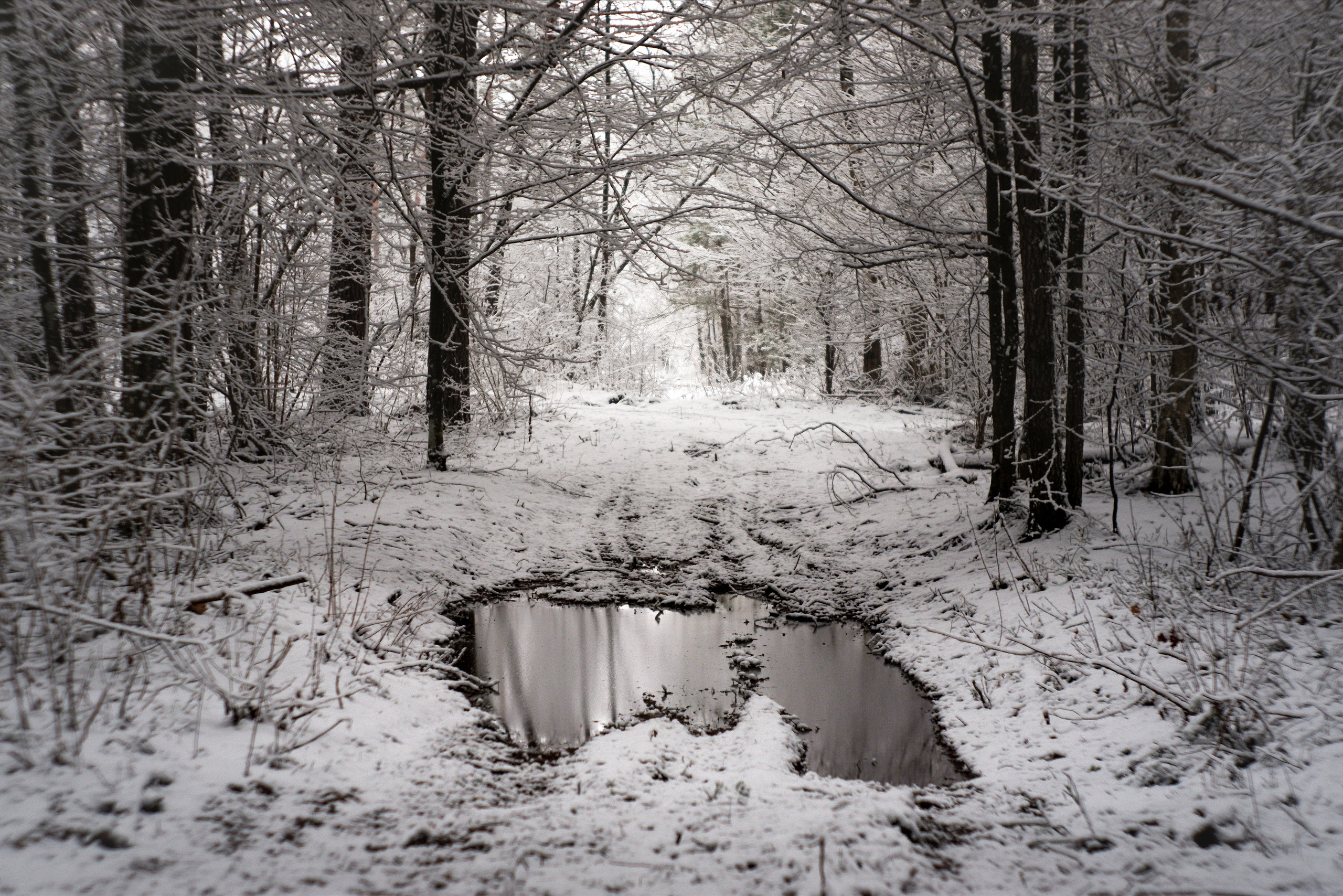 ЧБ  пейзажи (BnW landscape). Фотограф (photographer) Lischinski Vitaliy