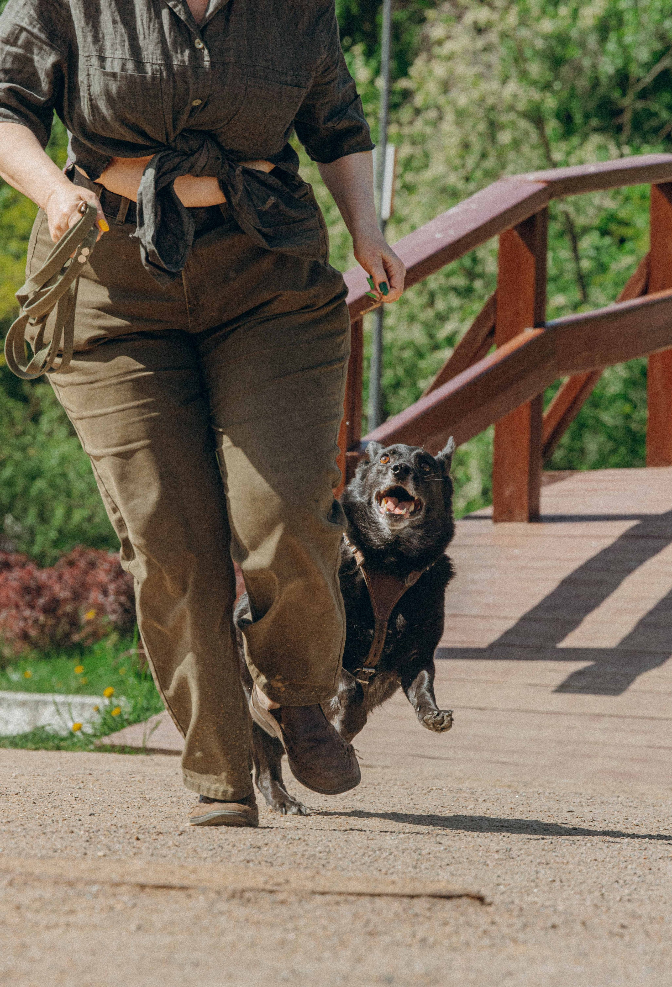 Наталья, Марфа и Норд. Фотограф-анималист в Москве Лера Черноног