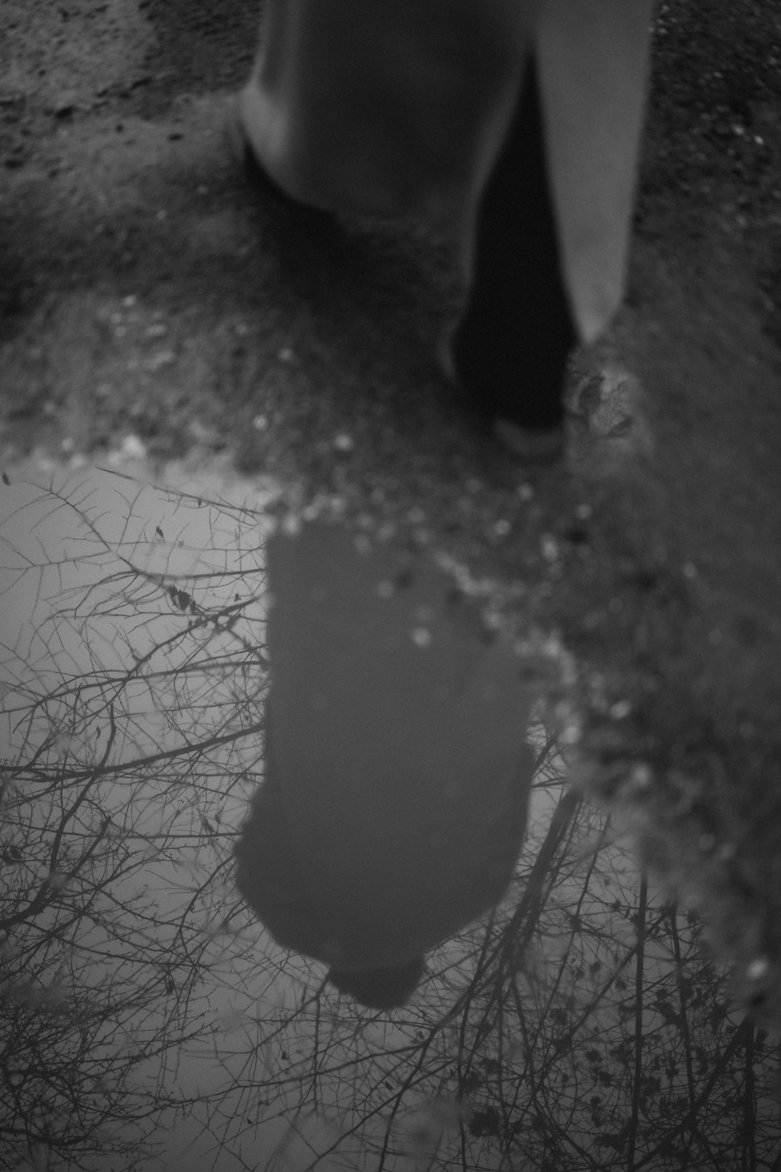 Портретная фотоссесия на улице после дождя. Семейный свадебный фотограф Екатеринбург Первоуральск Шарнина Алёна