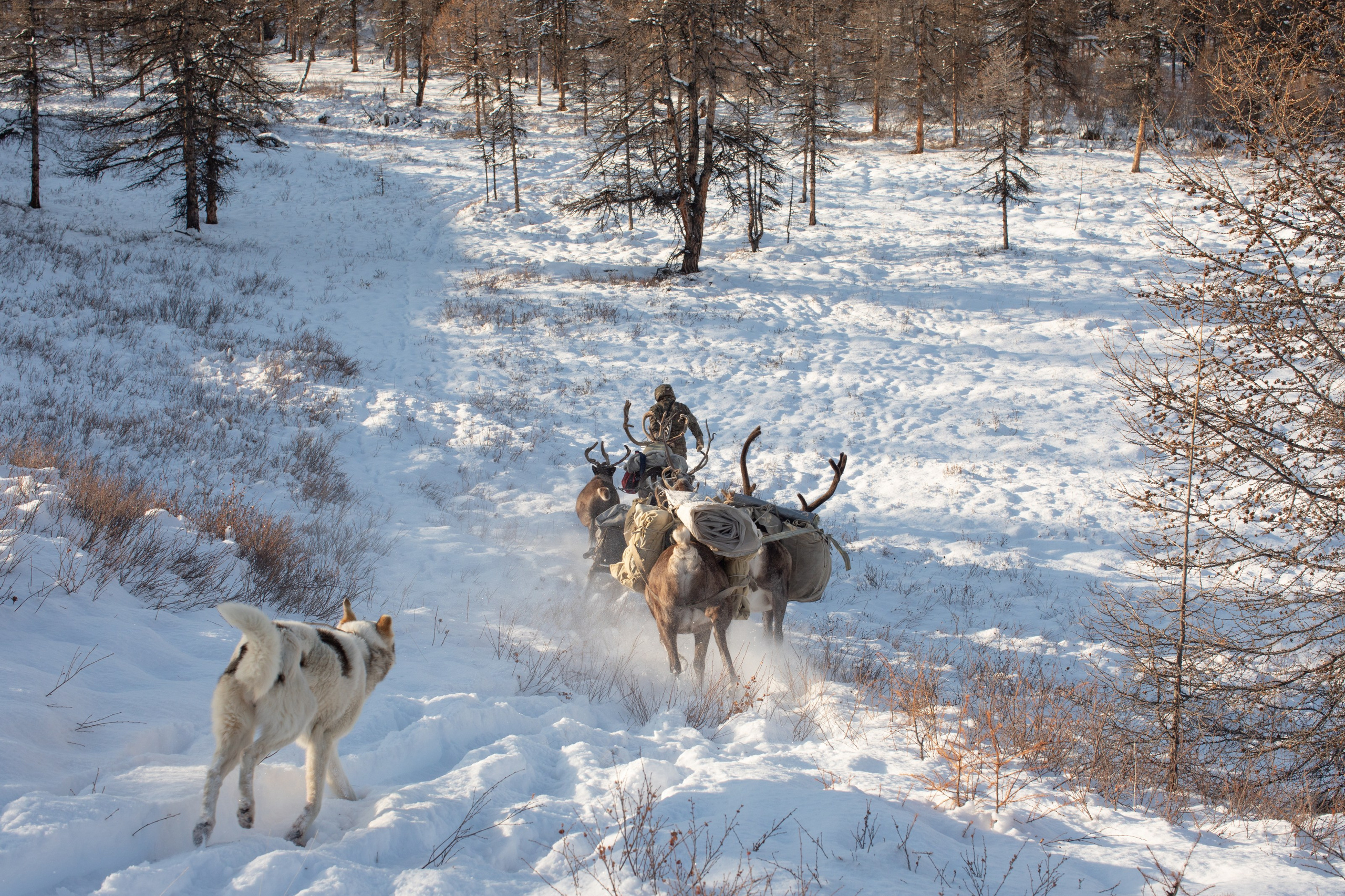 Не забудь накормить озеро. Natalya Madilyan
