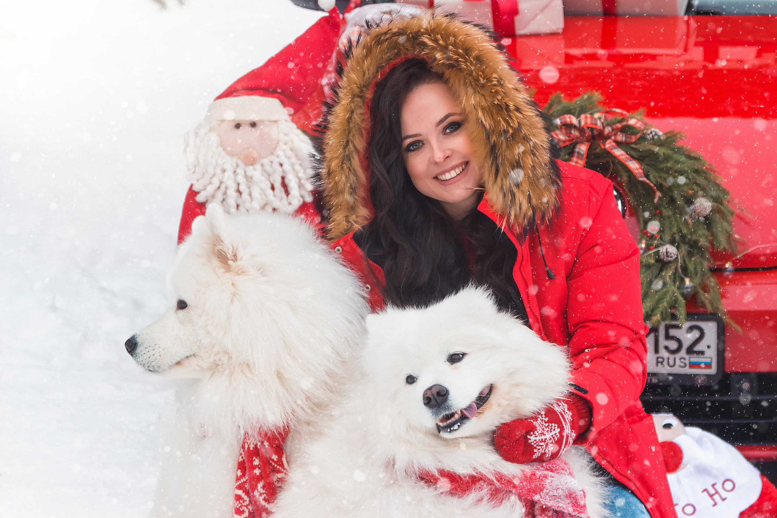 Новогодний красный жук. Фотограф Ольга Бобб Нижний Новгород