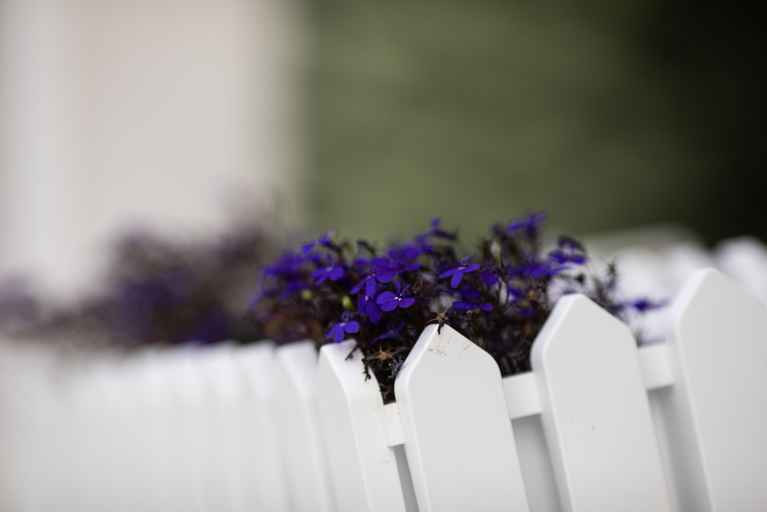 ФармWest — Фармленд. Репортажный и свадебный фотограф в Челябинске Елисеев Павел