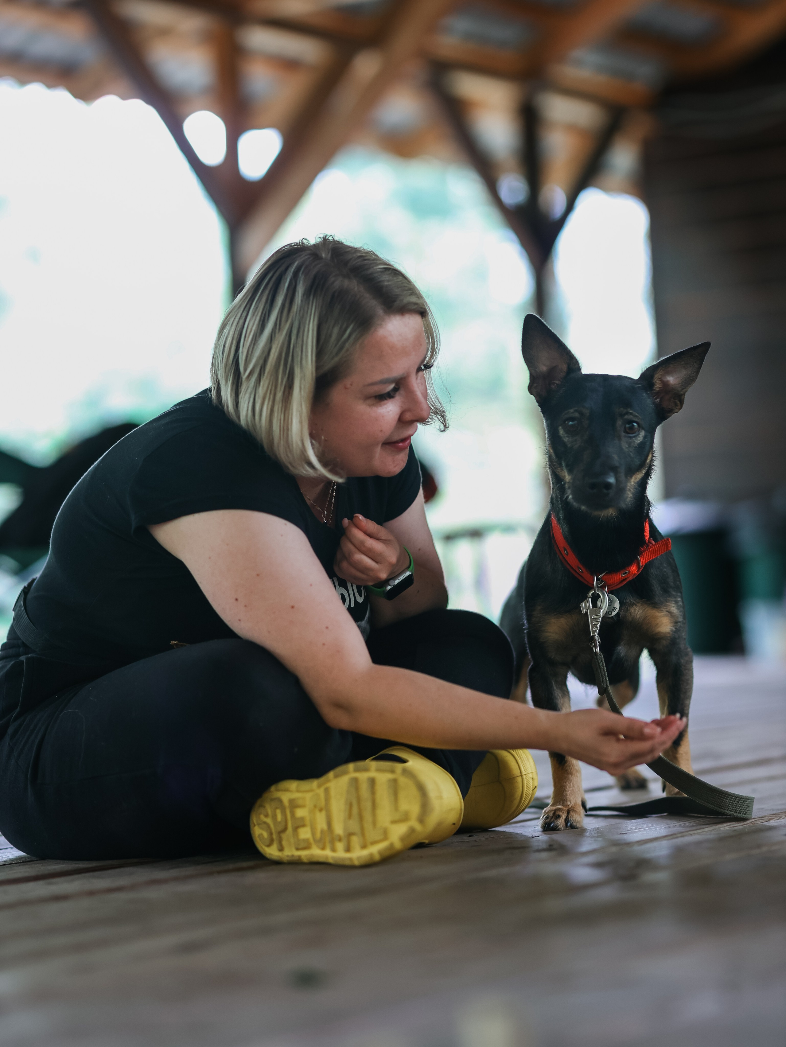 Лагерь ноузворк. Фотограф-анималист в Москве Кириллова Татьяна