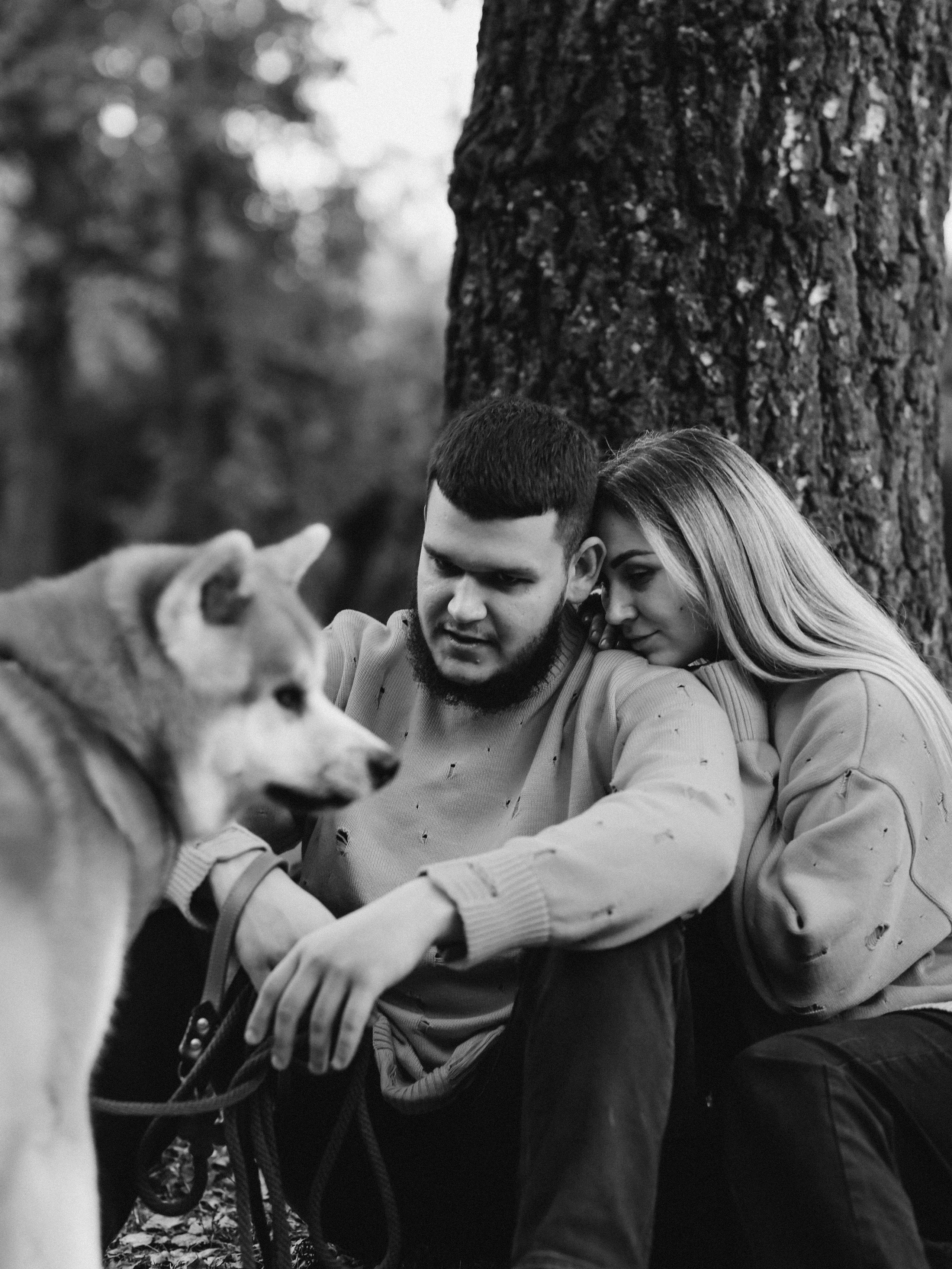 Гранд, Вика и Степан. Фотограф-анималист в Москве Кириллова Татьяна