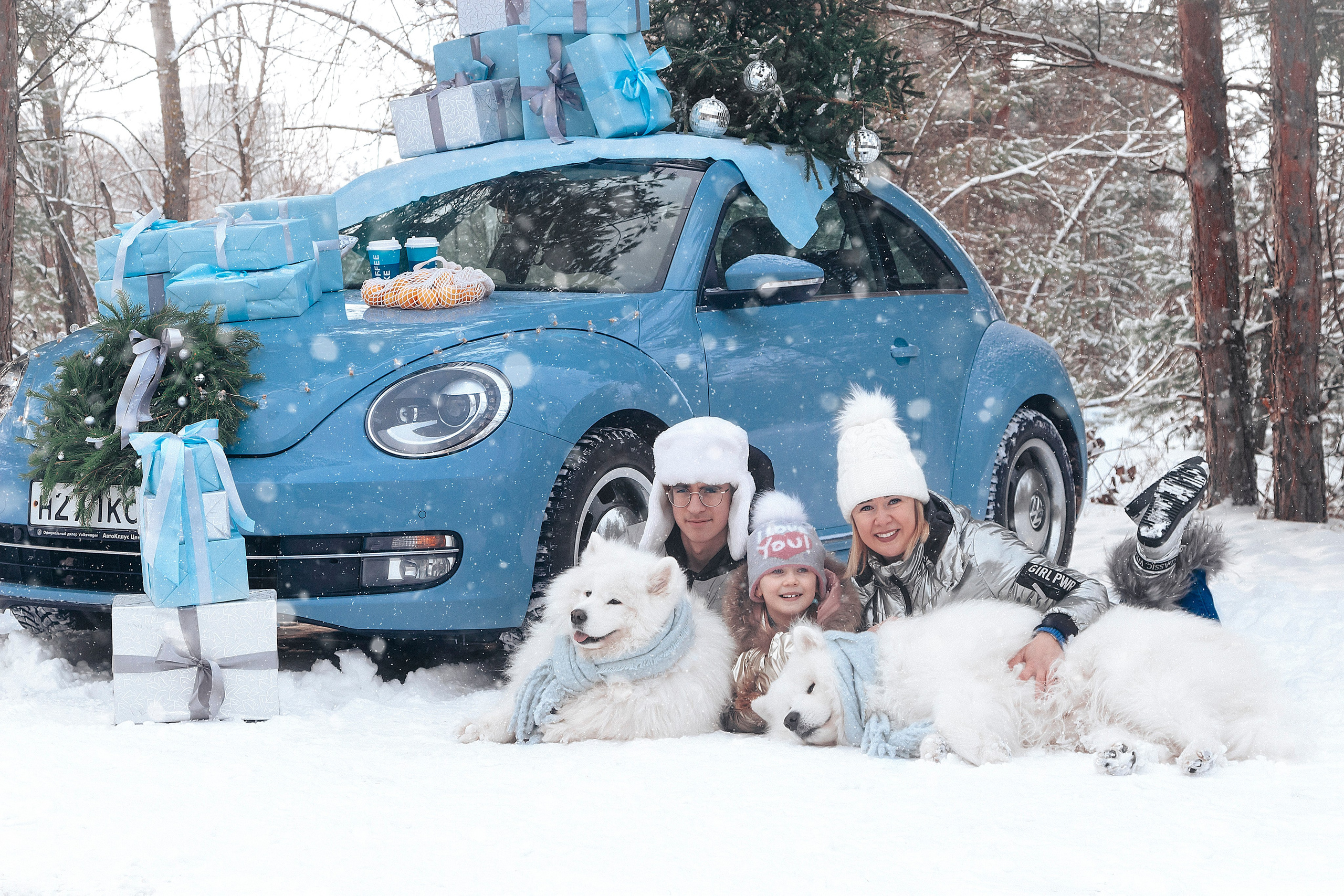 Новогодний голубой жук. Фотограф Ольга Бобб Нижний Новгород