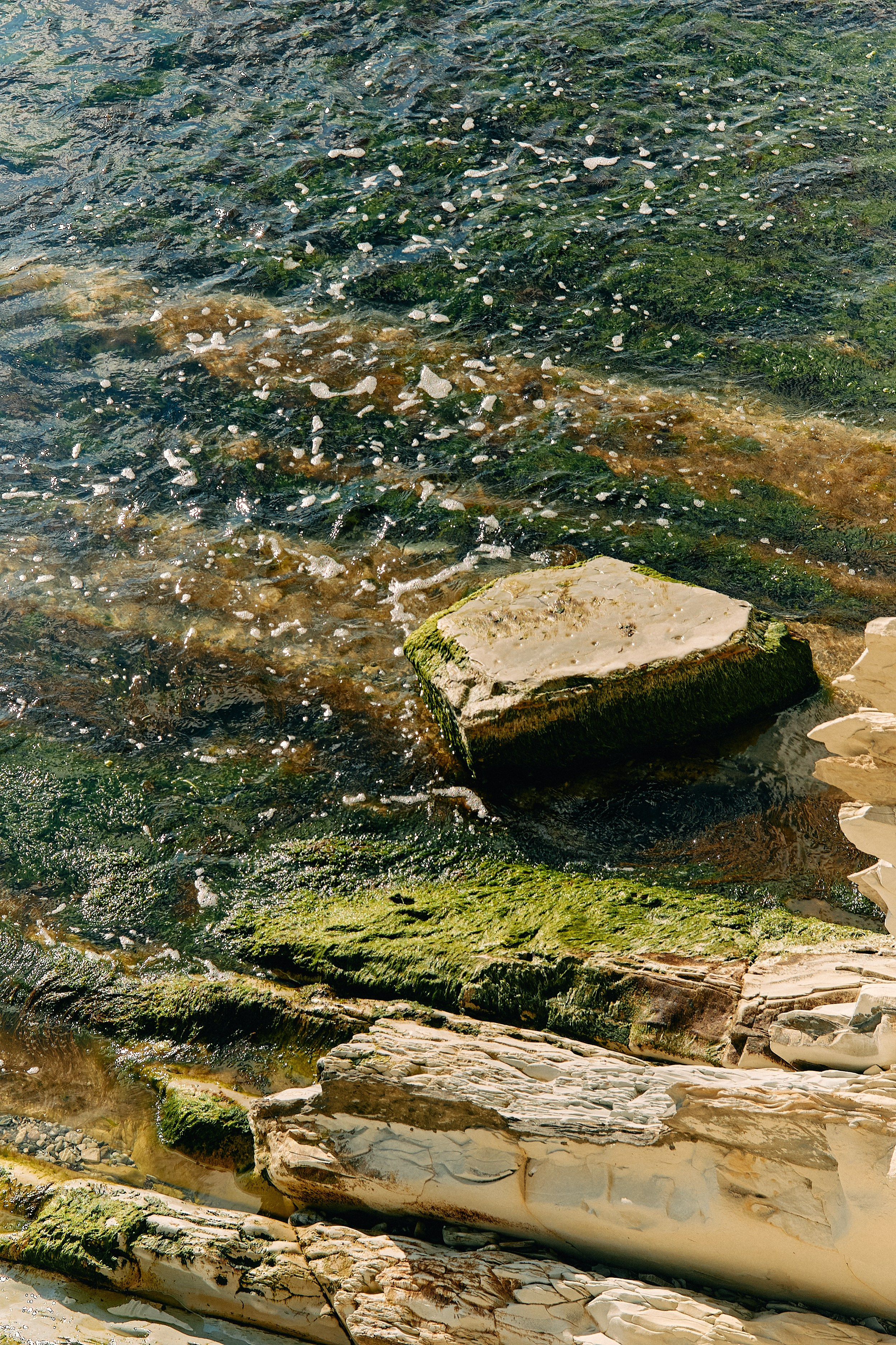 Юг России. Профессиональный Фотограф во Владимире, в Москве и в Суздале — Полина Романычева