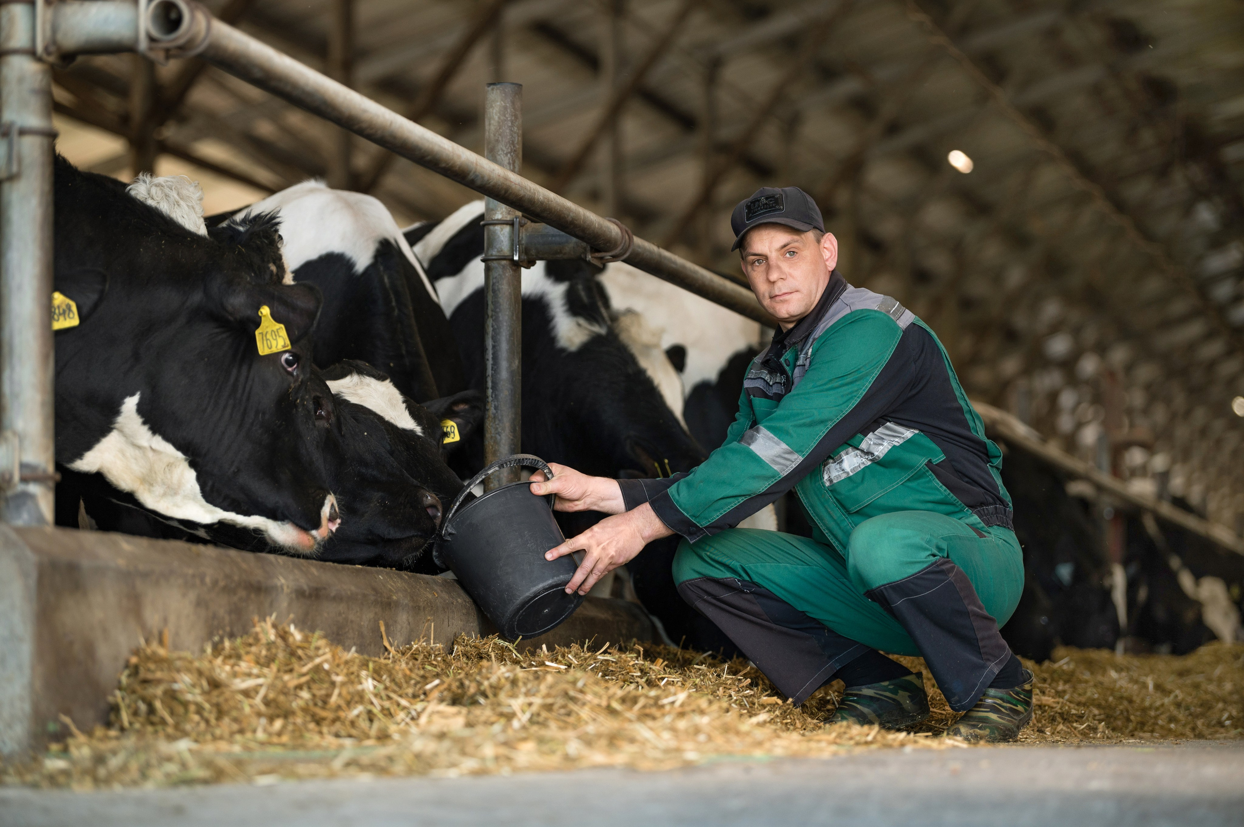 Проекты. Профессиональный фотограф Вячеслав Плацында | Липецк |