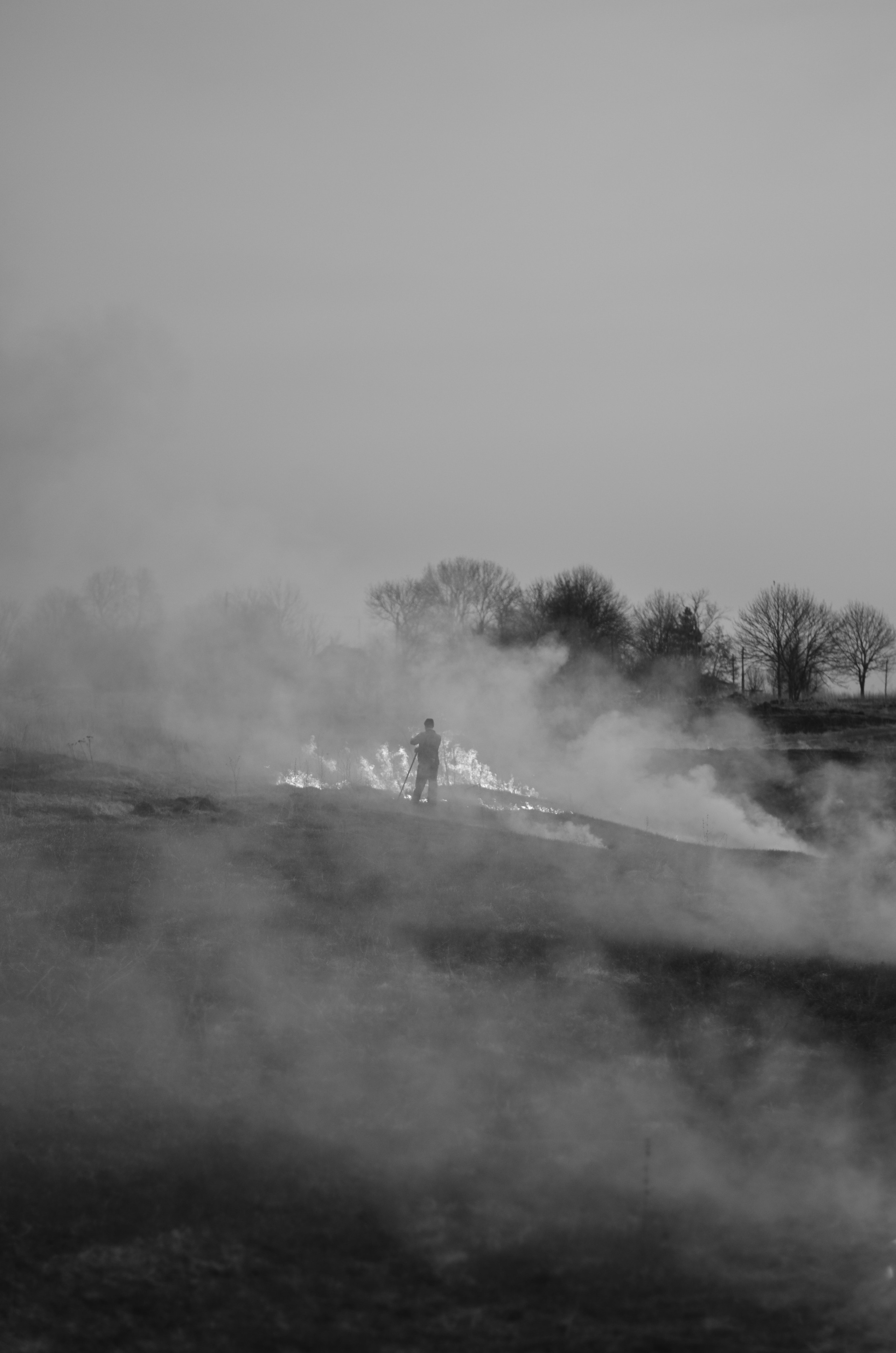 Пожары. Анна Хвалина
