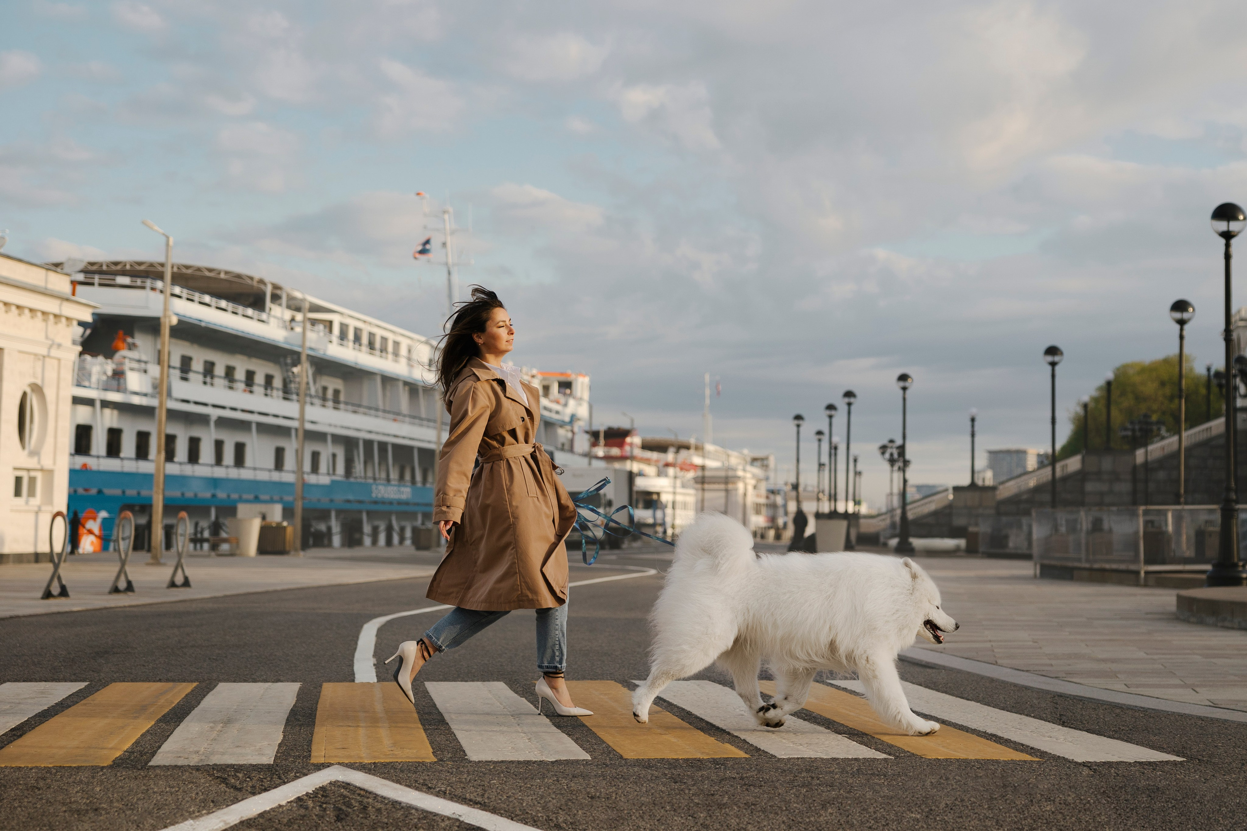 Ната, Панти, Речной Вокзал. Фотограф анималист в Москве Майорова Евгения