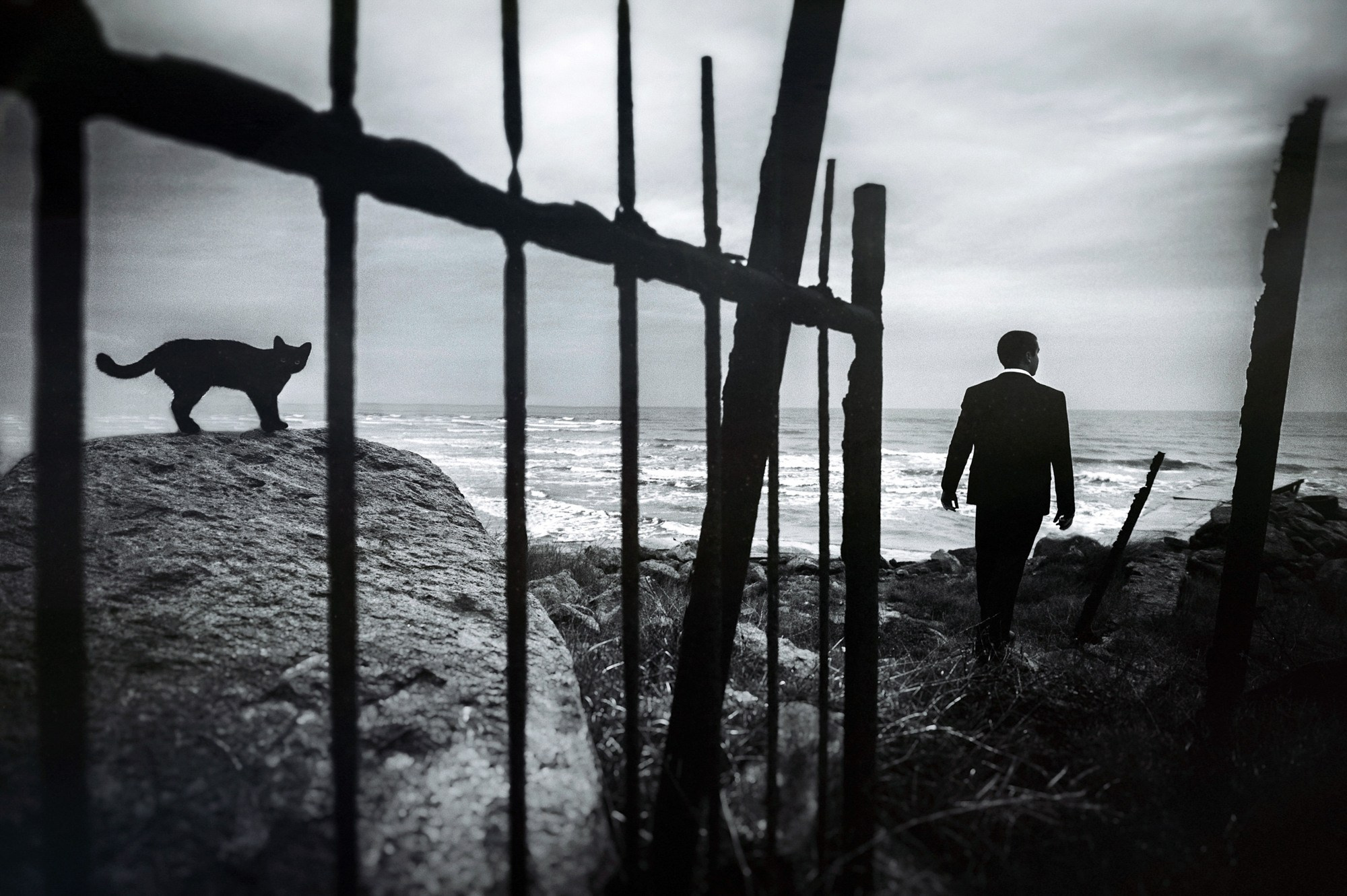 Portfolio. The Andris