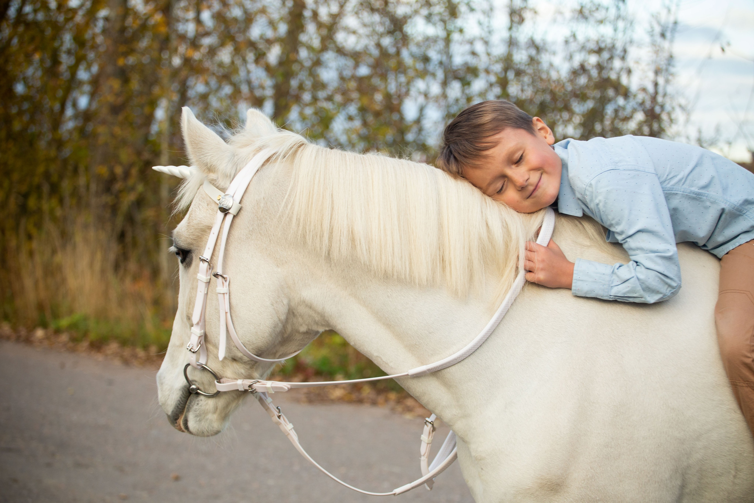 Конные фотосессии (съёмки с лошадьми). Главная