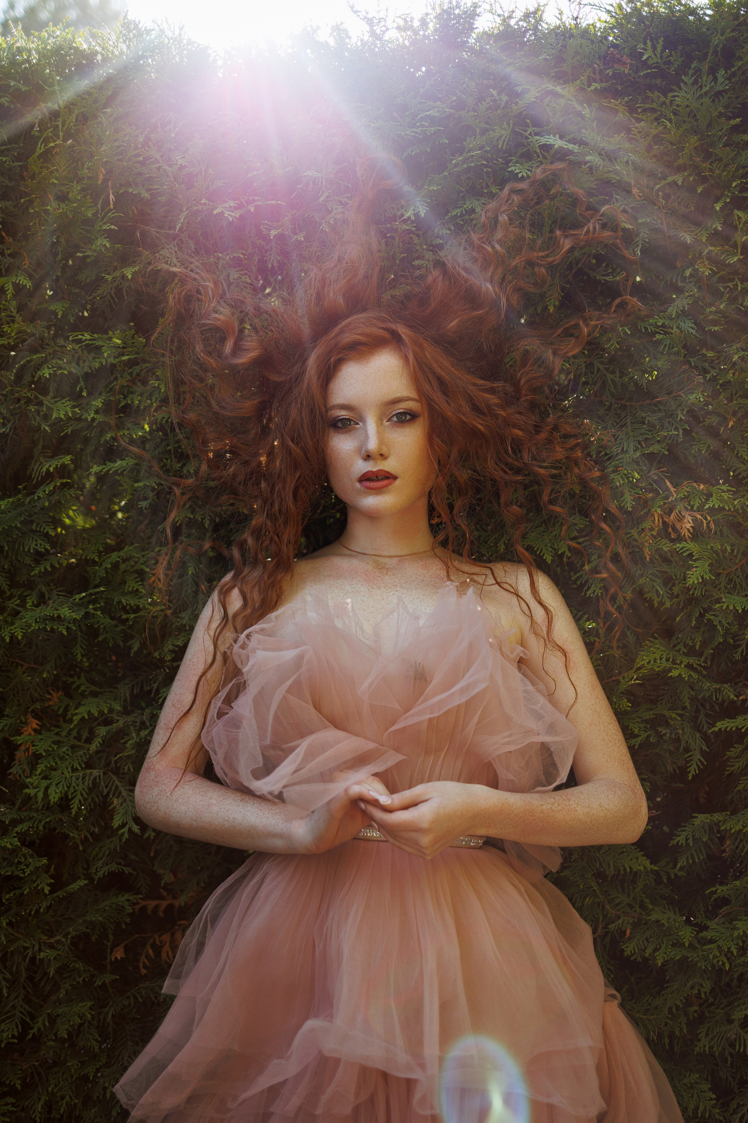 Света «Алиса в стране чудес». Марковкина КрисТина