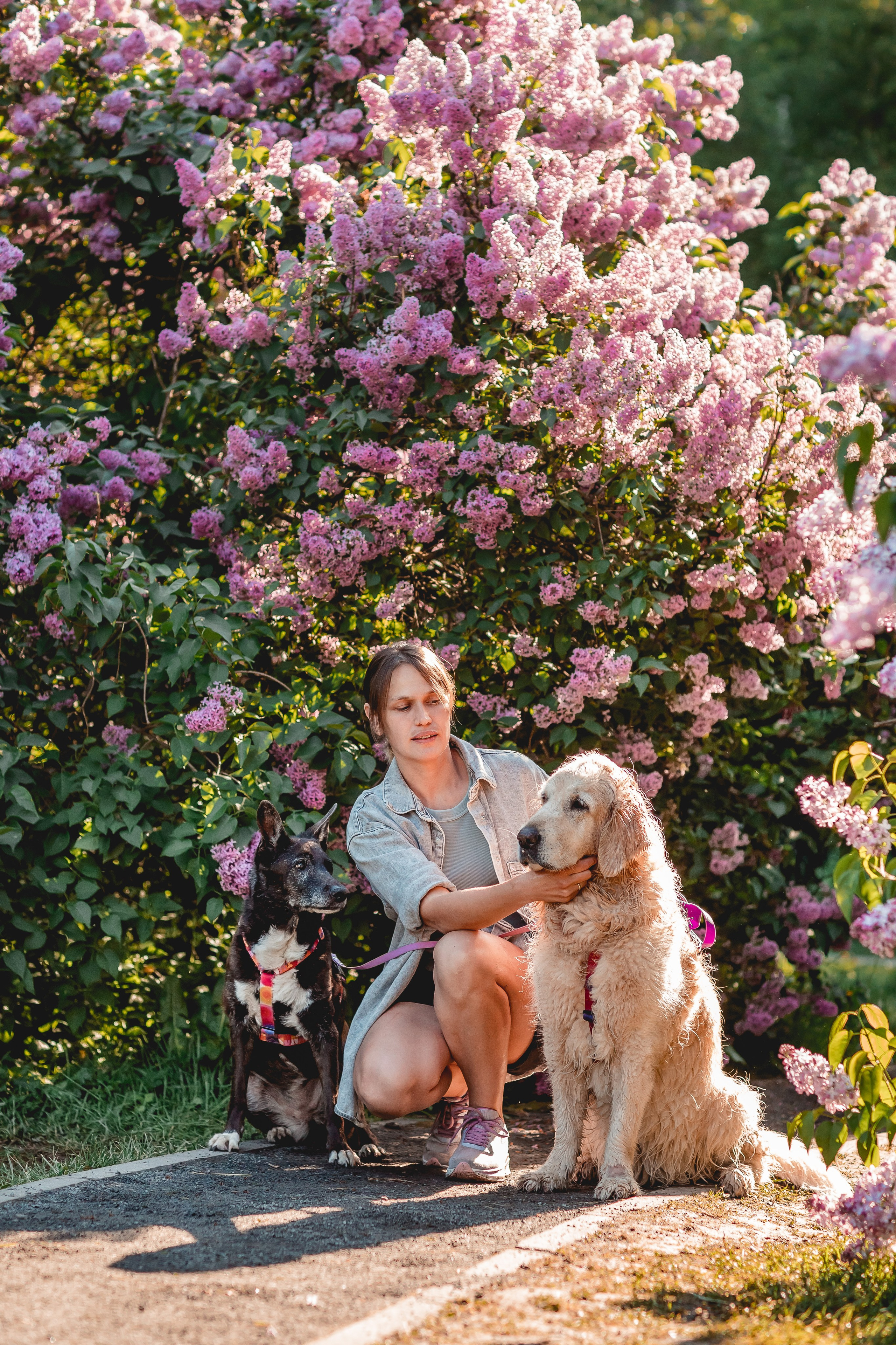 Ира, Альма и Белла. Семейный фотограф анималист Мария Крючкова