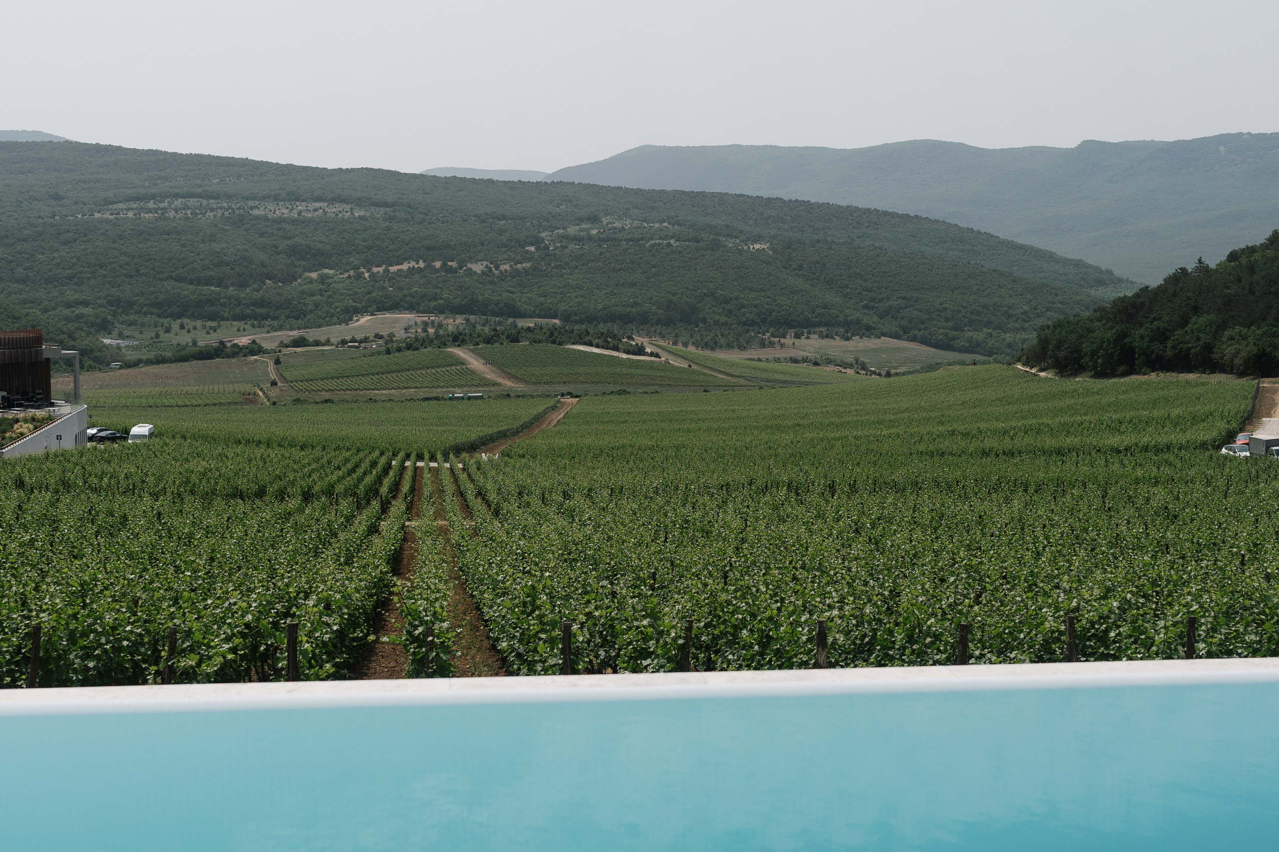 Анастасия & Дмитрий. Свадебный и портретный фотограф Алена Седининна в Крыму