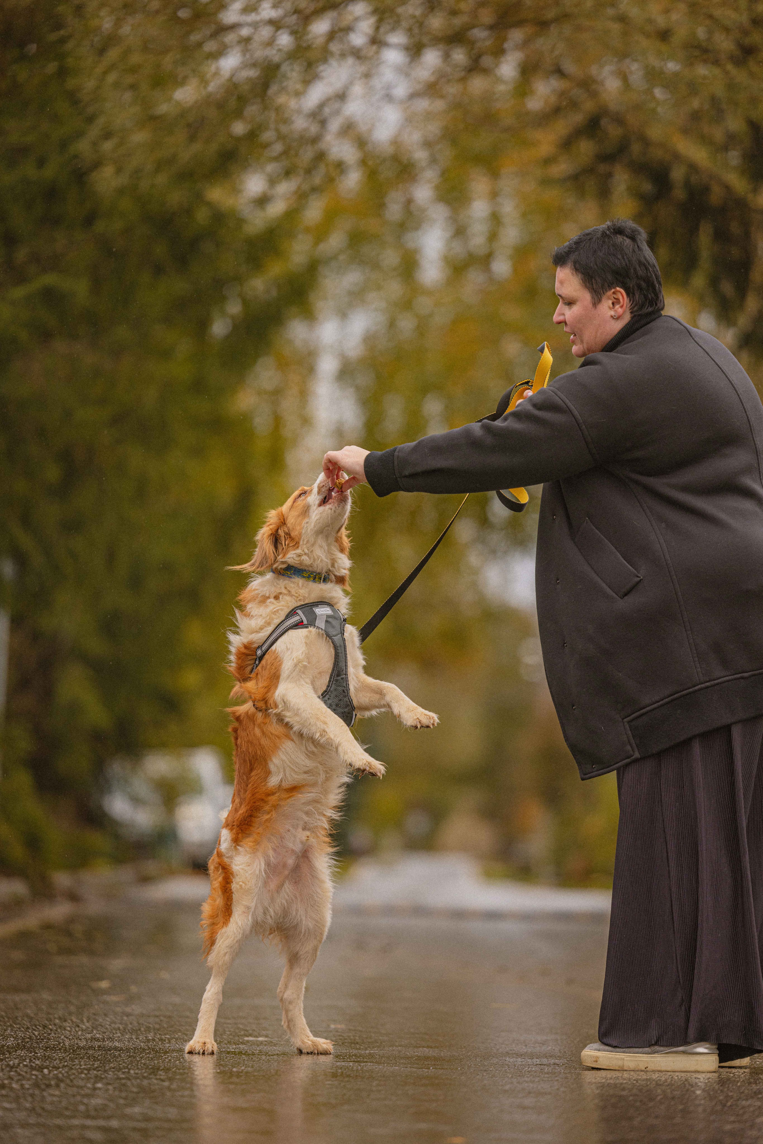Передержка. Фотограф-анималист в Москве Лера Черноног