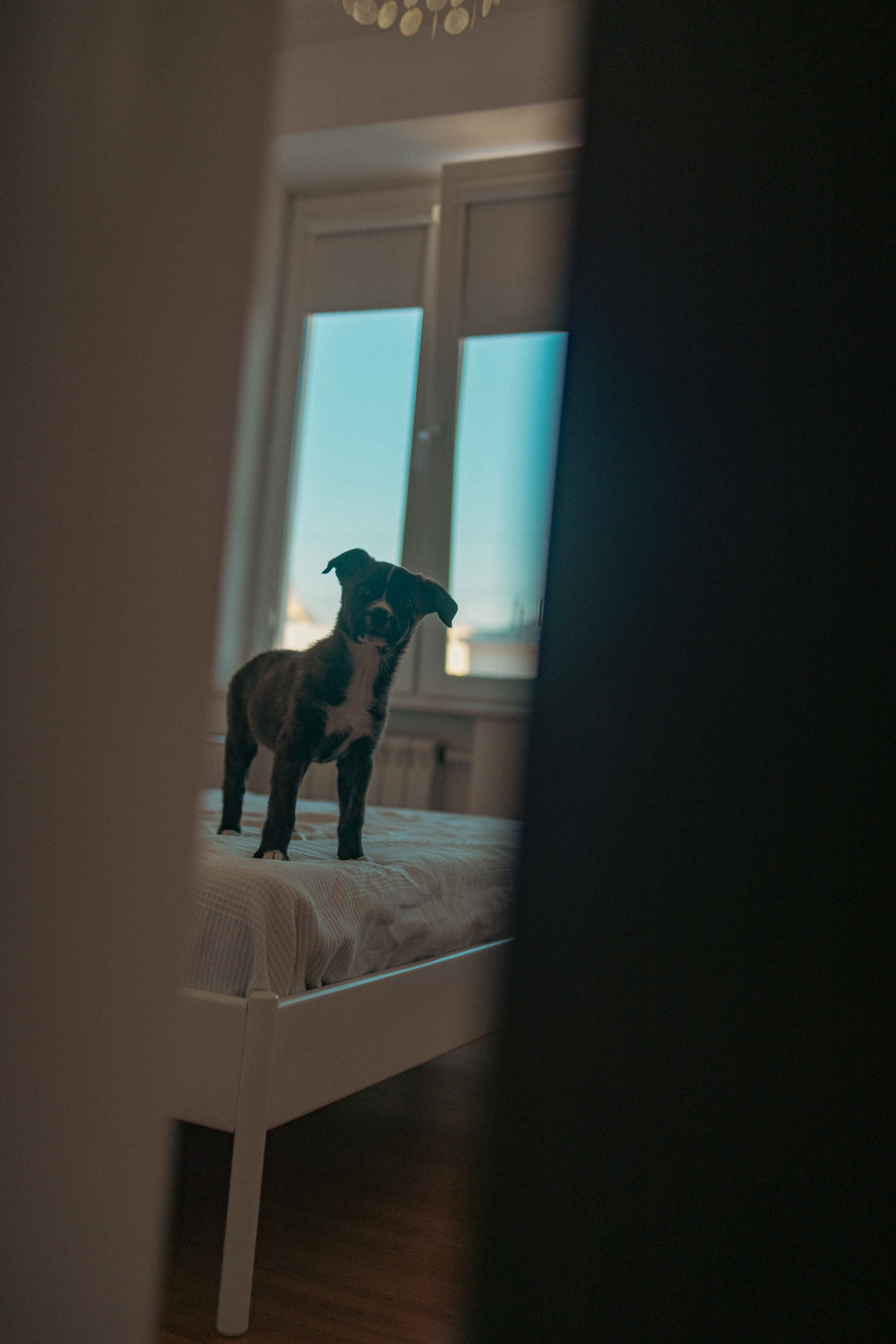 Гайка. Фотограф-анималист в Москве Лера Черноног