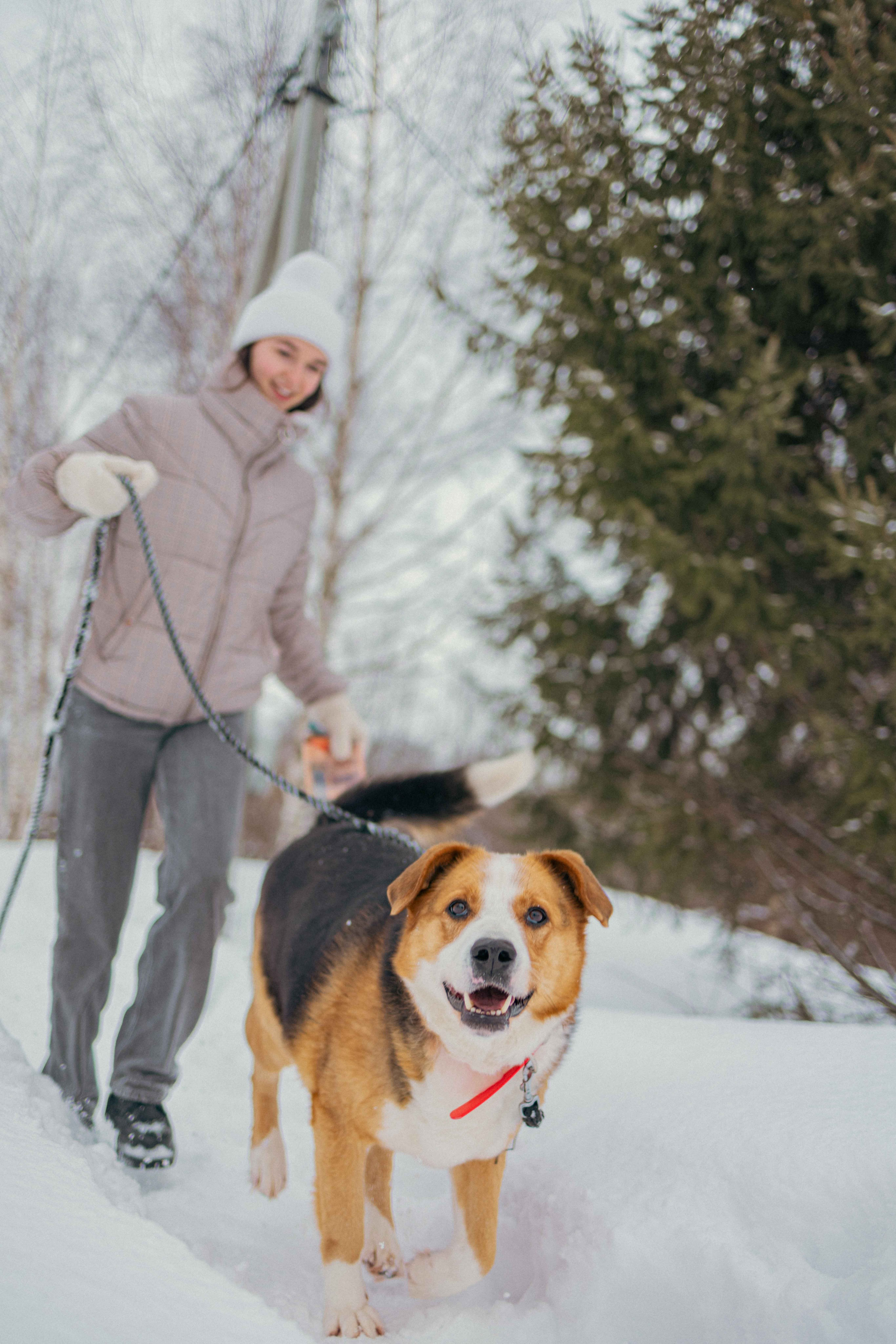 Петя. Фотограф-анималист в Москве Лера Черноног
