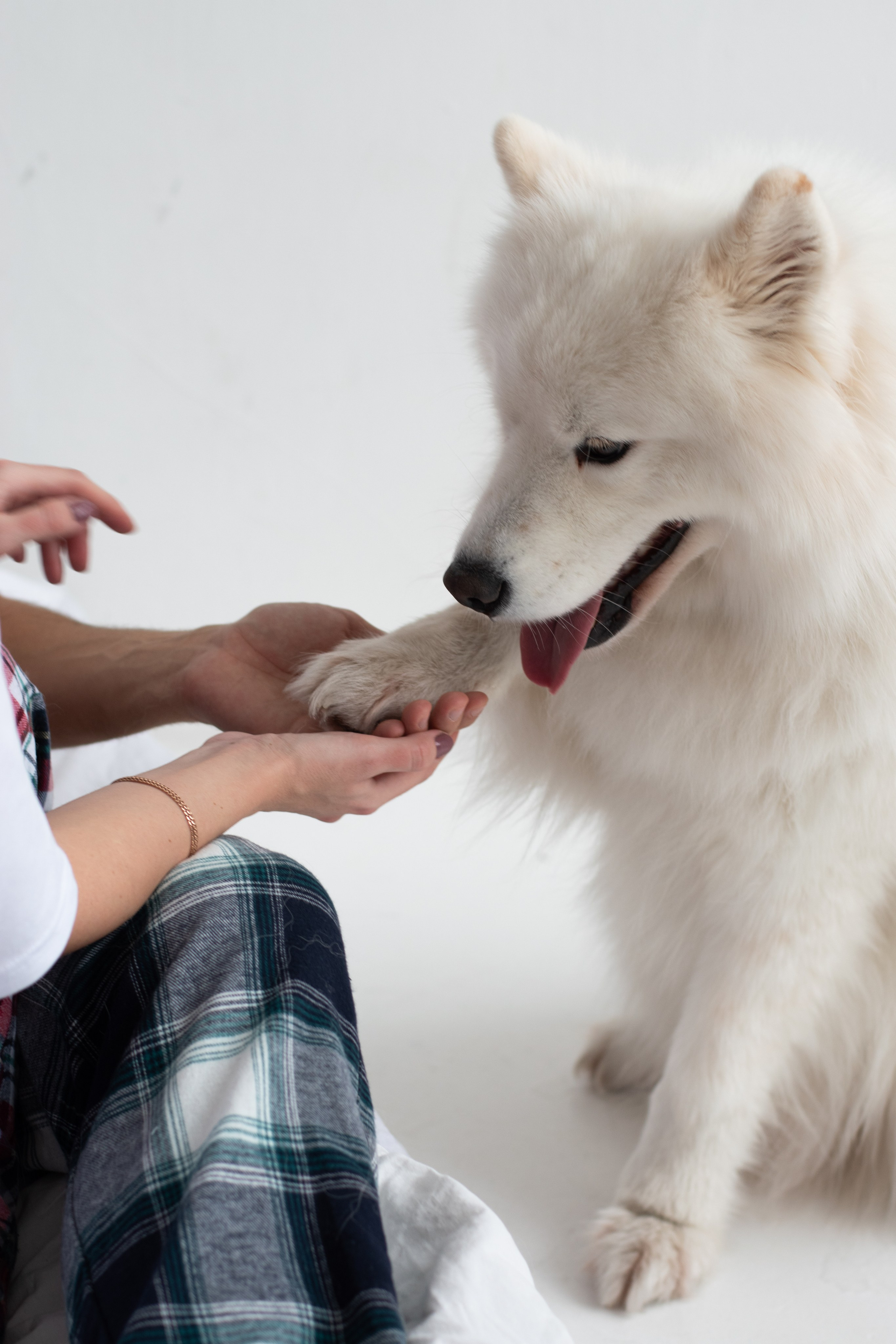 Съемка с мастер класса. Фотограф в Новосибирске Фальман Полина