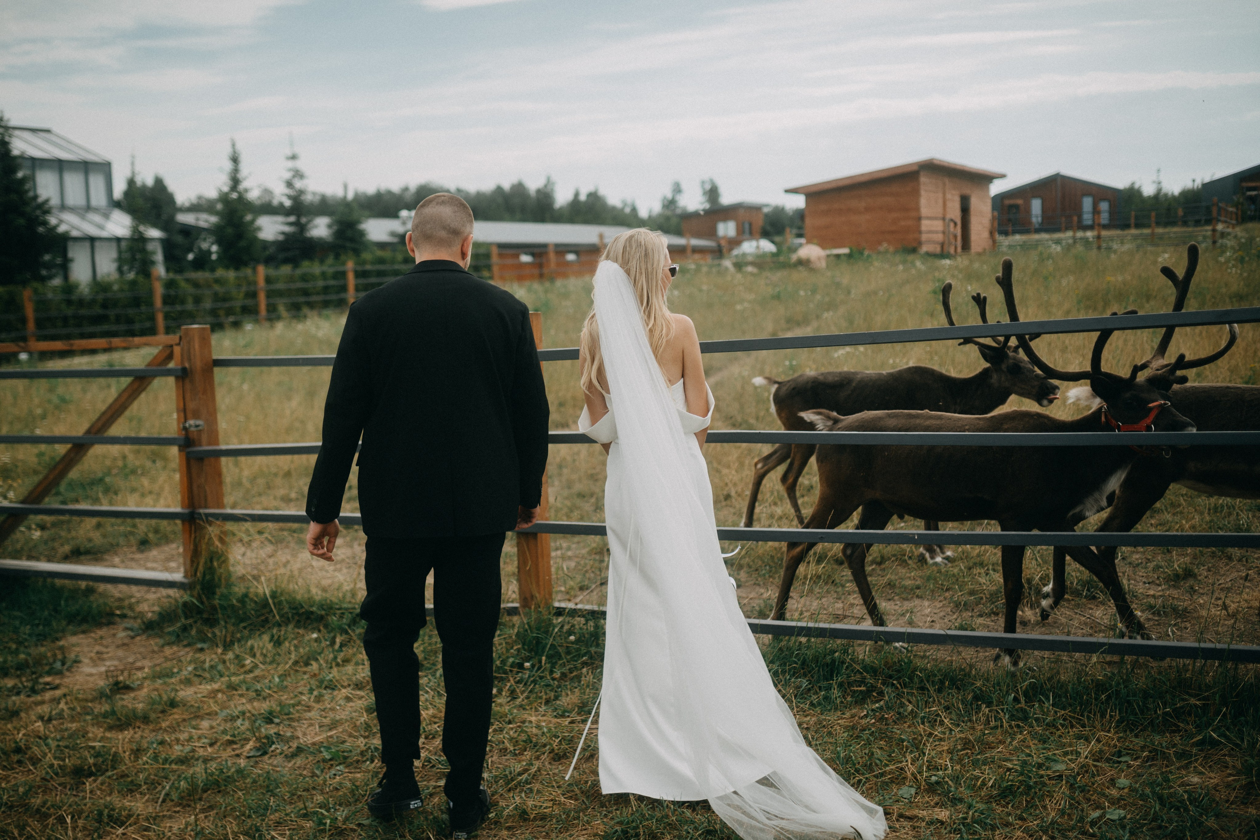 Данила и Кристина 29.07.25 весь день. Фотограф в Санкт Петербурге Лара Великова