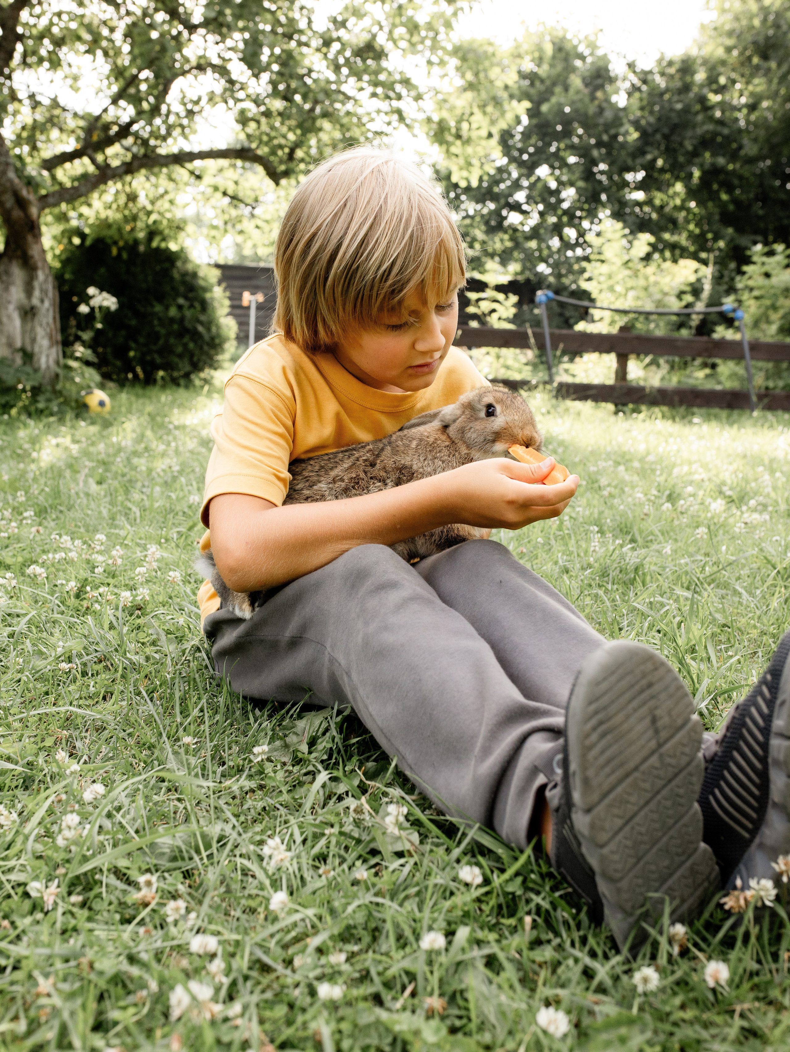 Кролики 2023. Семейный фотограф в Санкт-Петербурге Ирина Иванова