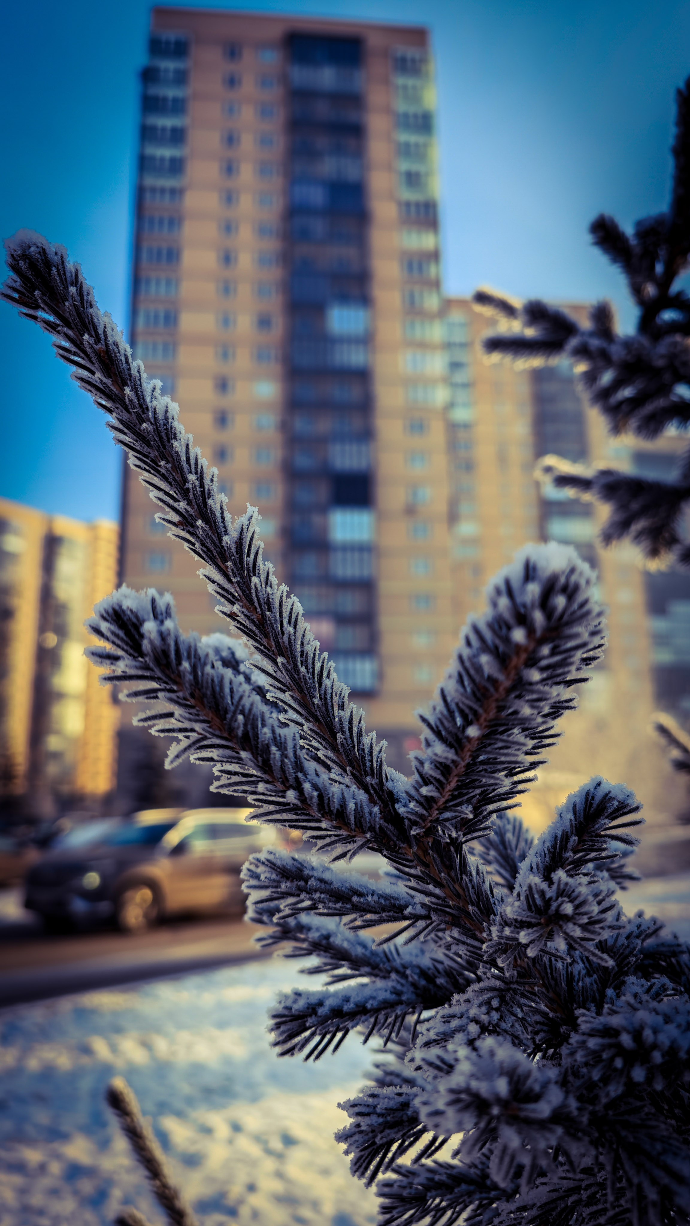 Скоро лето. Игорь Урывский. Фотограф Красноярск