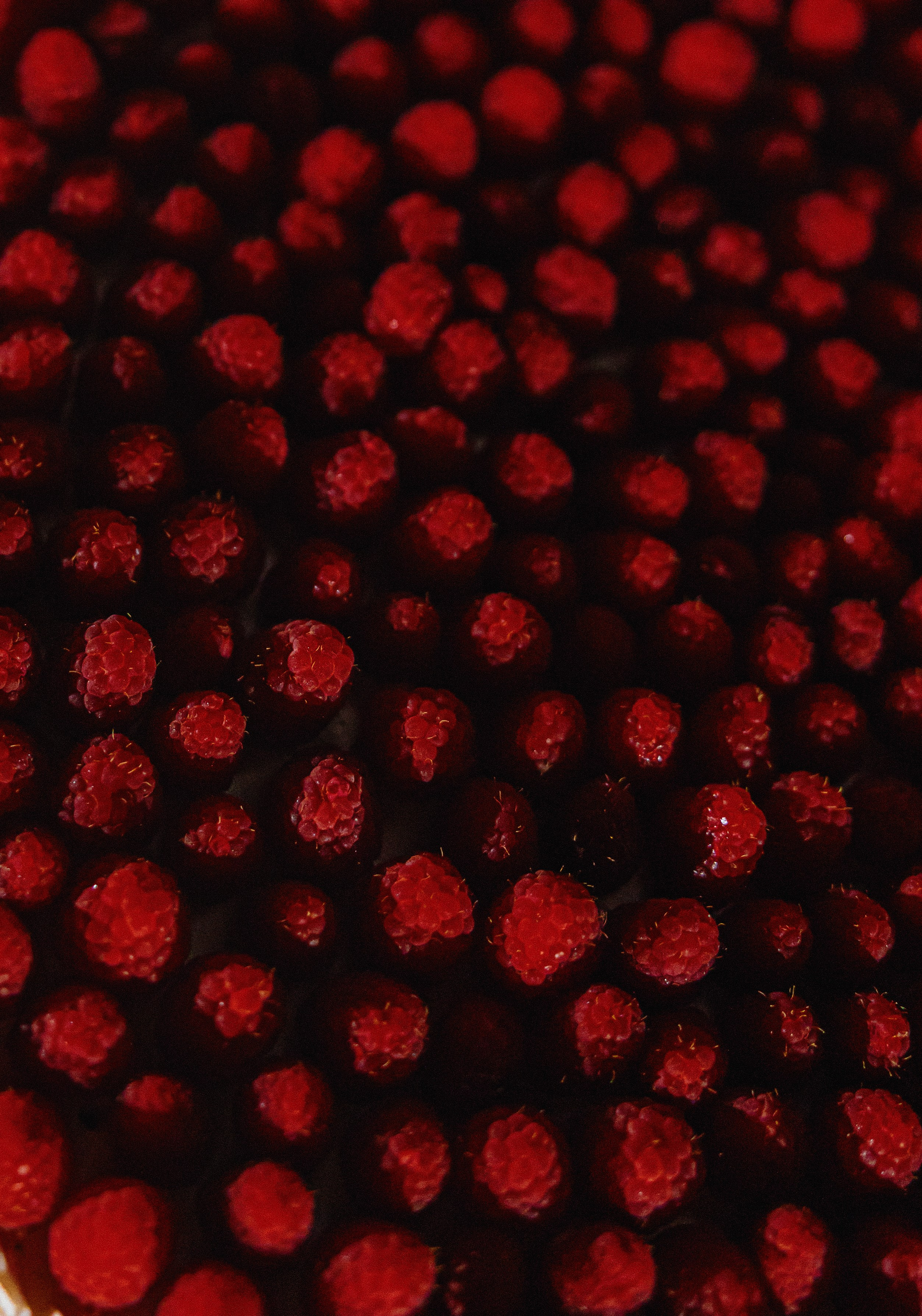 Алина и Никита 🤍. Фотограф в Минске Дарья Матвеенко