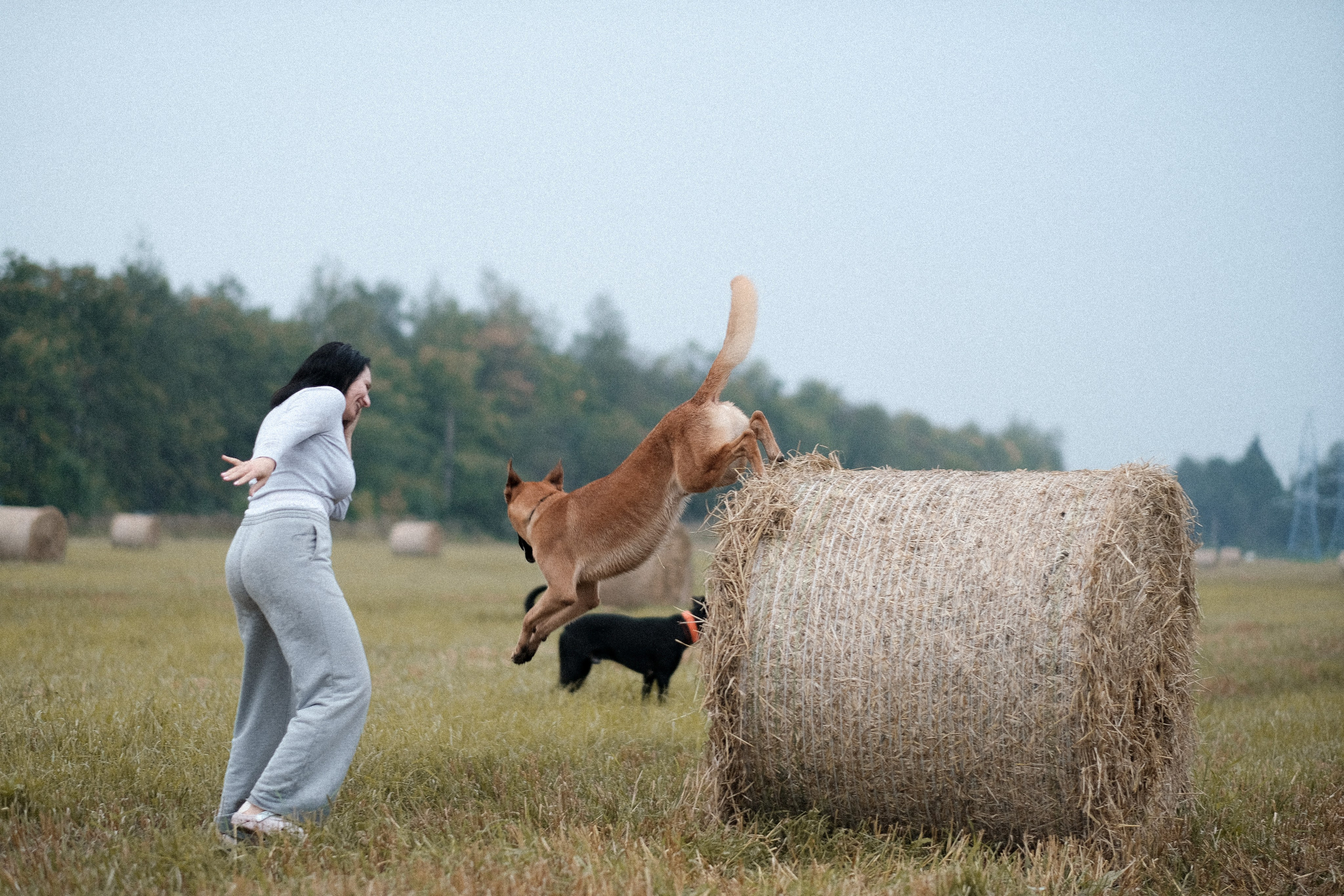 Тео и Оля. Фотограф и видеограф анималист Аганина Дарья