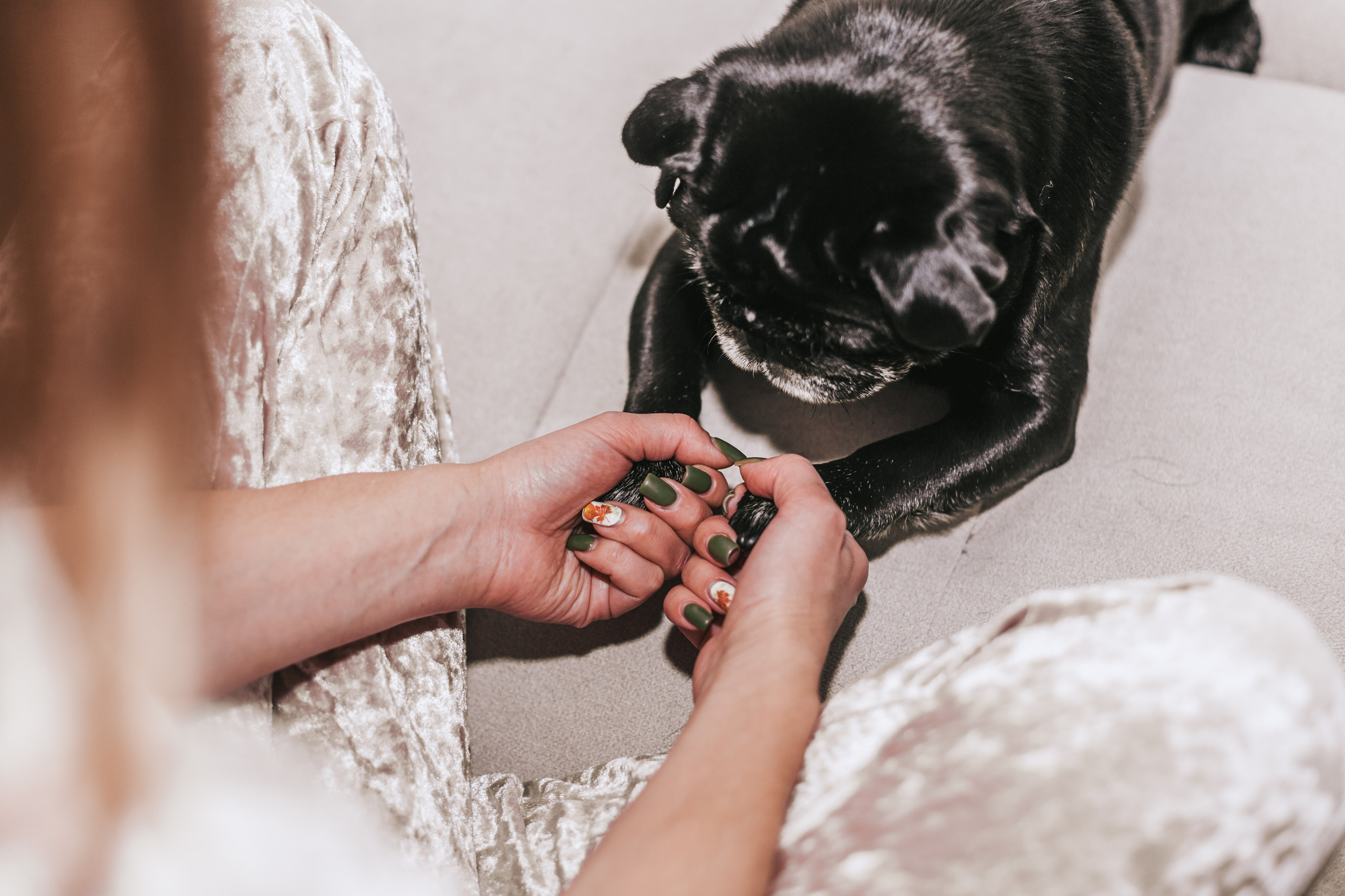 Домашняя фотосессия Оли и двух ее мопсов. Фотограф-анималист Татьяна Степанова