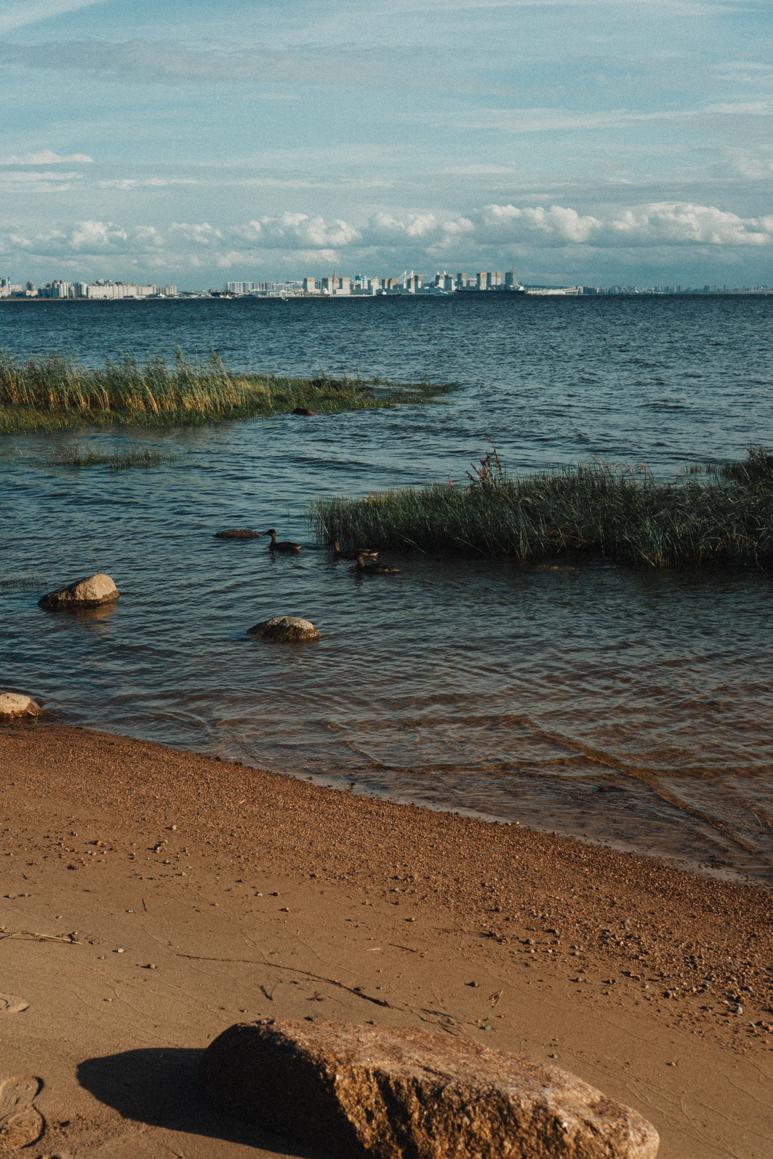 МАМА И ДОЧКА НА ФИНСКОМ ЗАЛИВЕ. Профессиональный фотограф, Санкт-Петербург — Виктория Богомолова