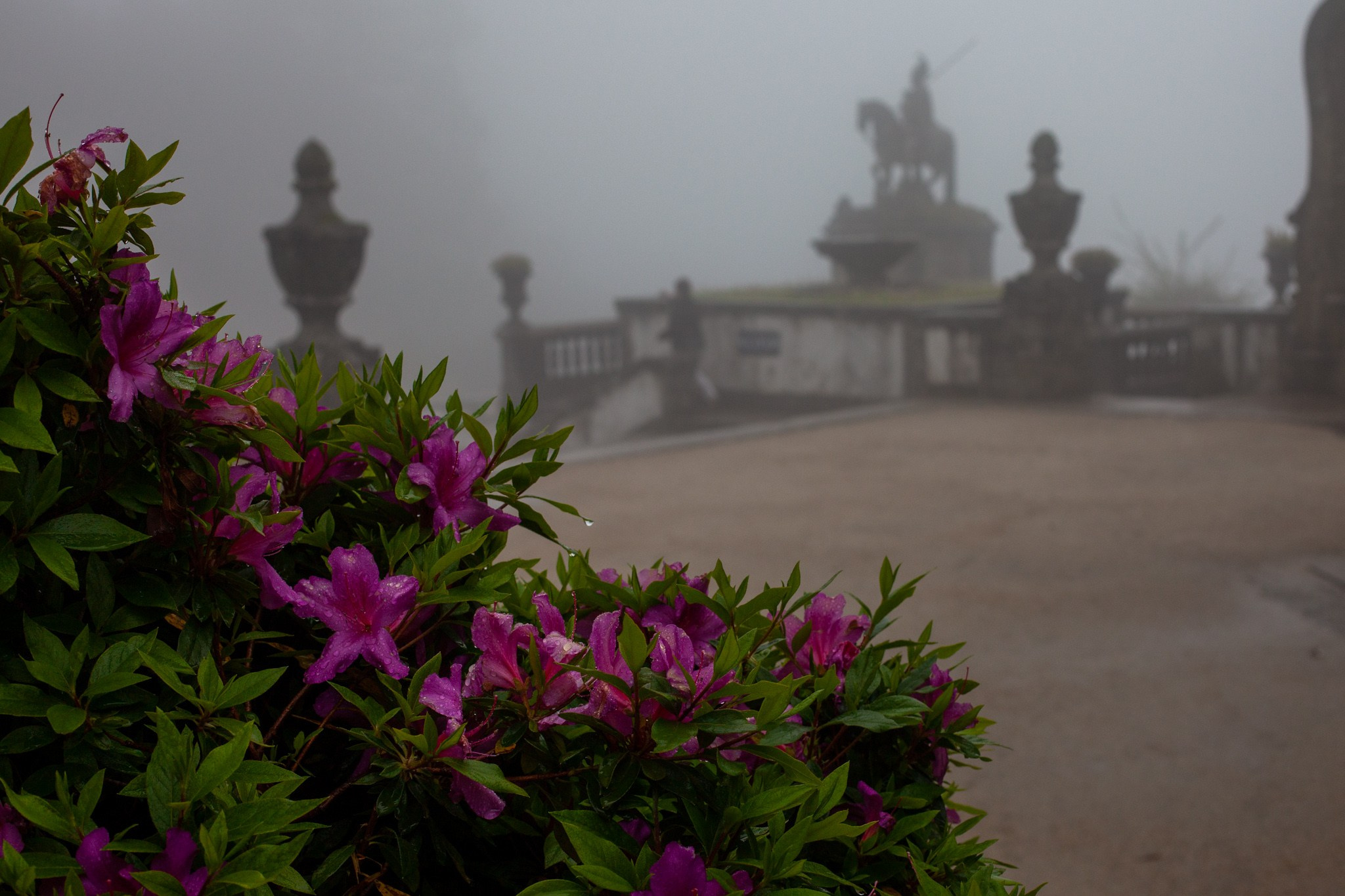Portugal Santuário do Bom Jesus do Monte, португалия 2010. Фотограф Василий Буланов