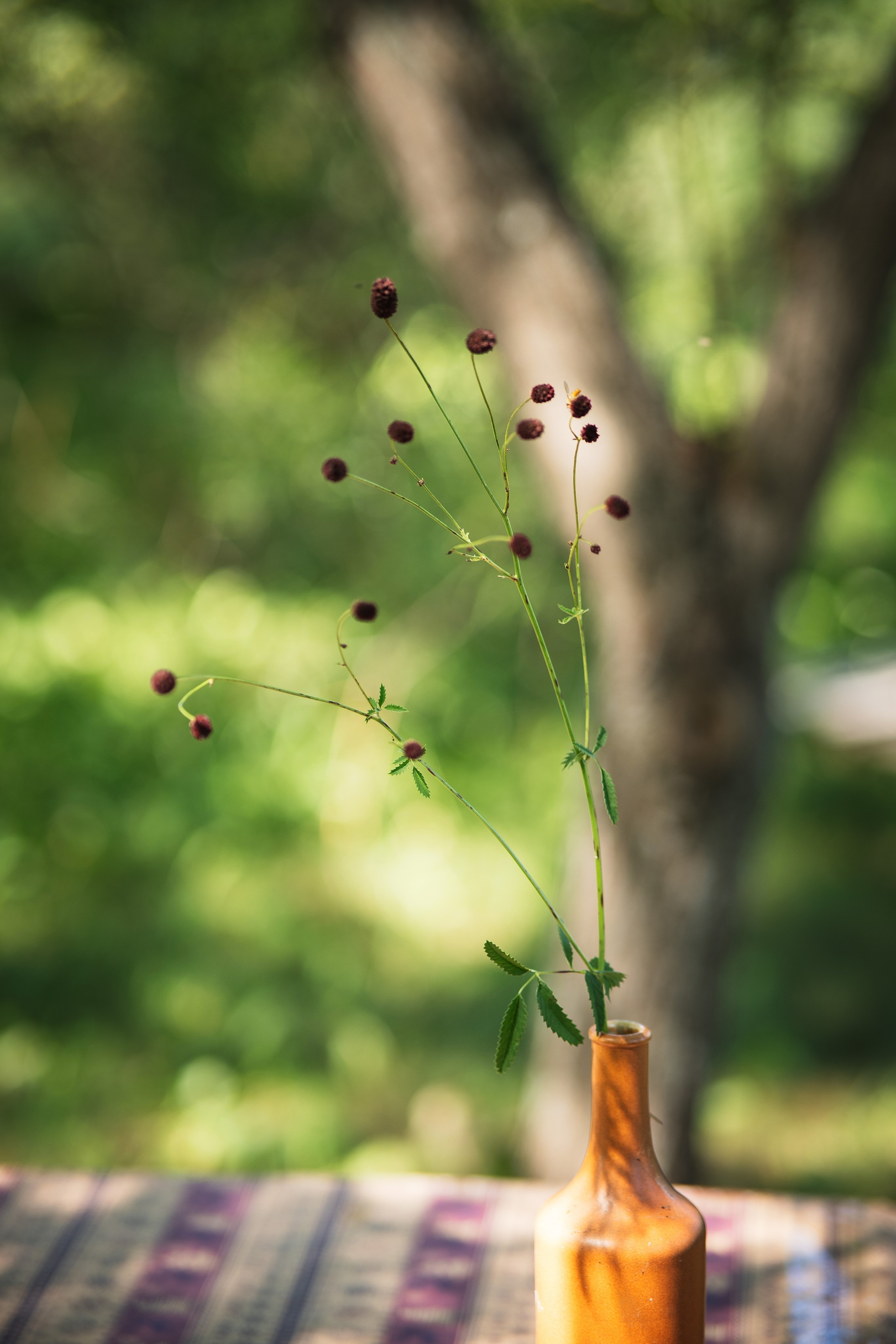 День семьи и здоровья | Газпромнефть. Фотограф на любое событие в Кемерово