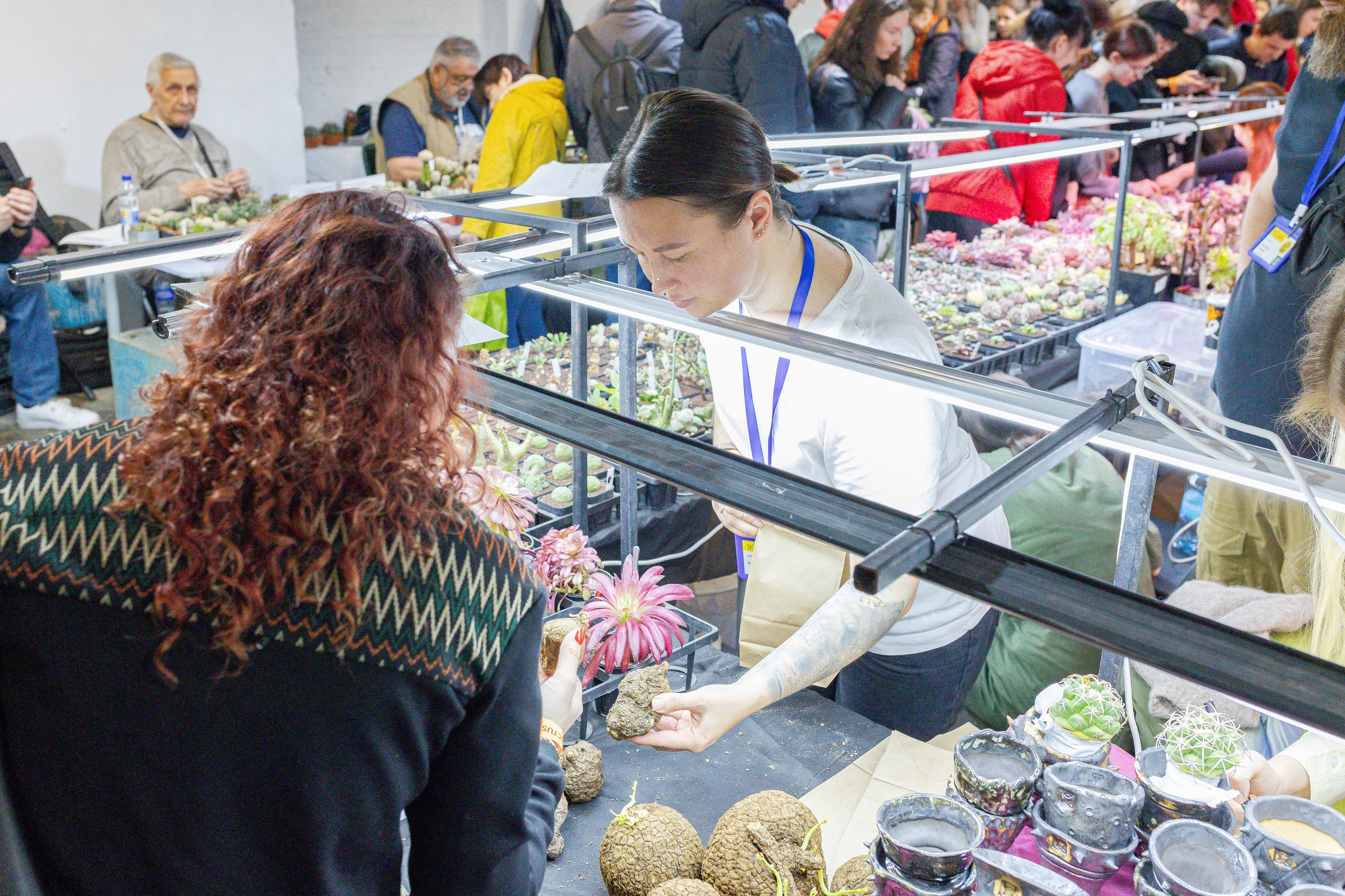 Кактус Фест. Александра Куликова фотограф, Москва