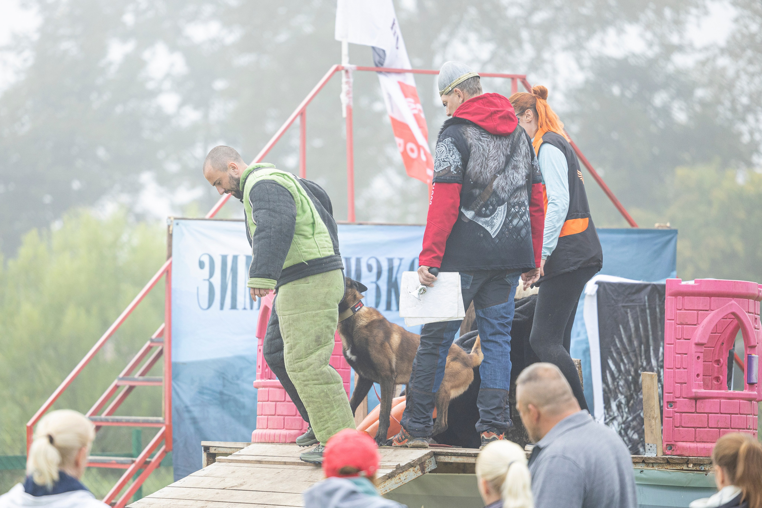 Соревнования по Мондьорингу г. Вологда 10-11.08.2024. Фотограф-анималист Анна Маринич