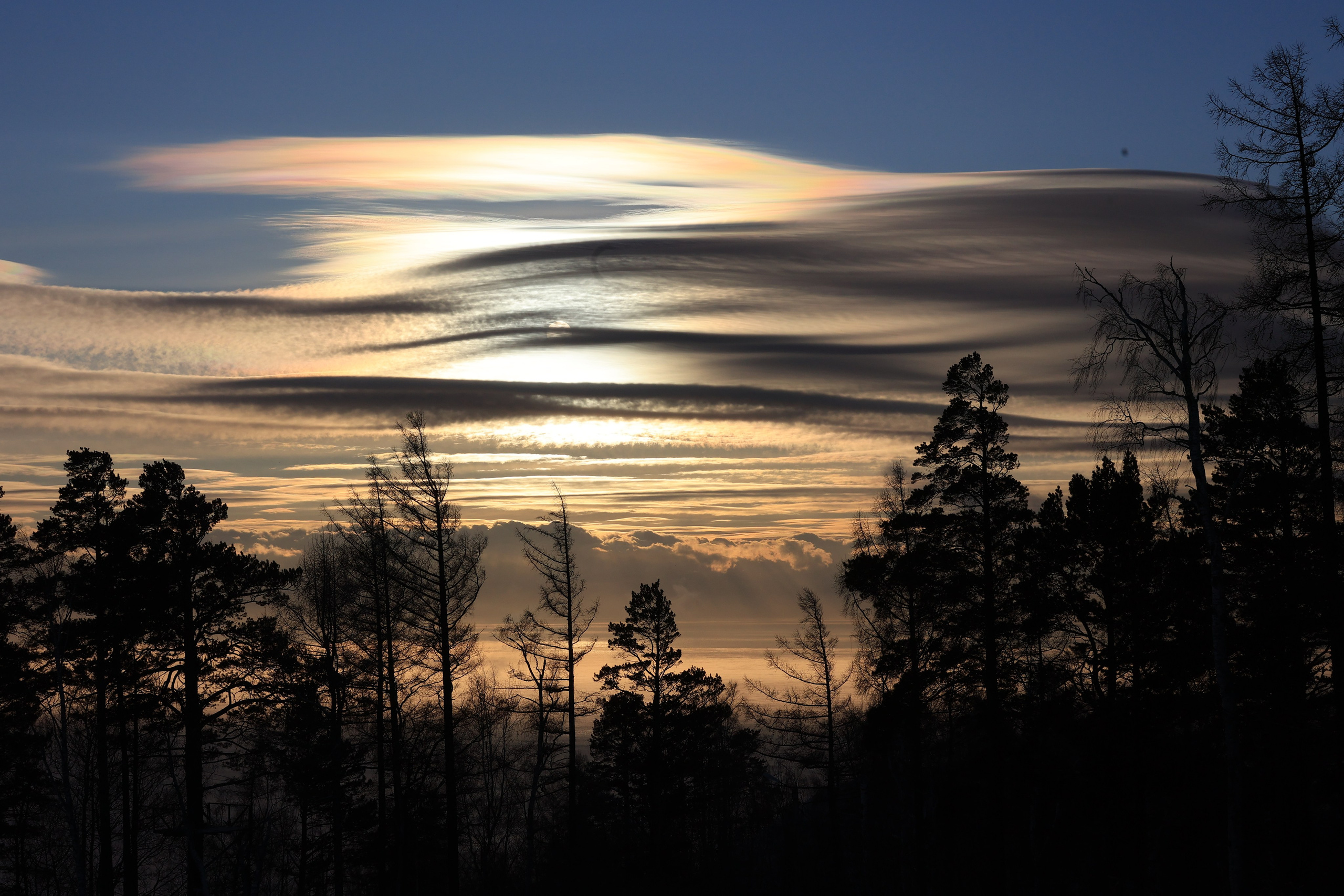 2022. Тащилин Сергей. Фотографии. Жизнь. Хобби