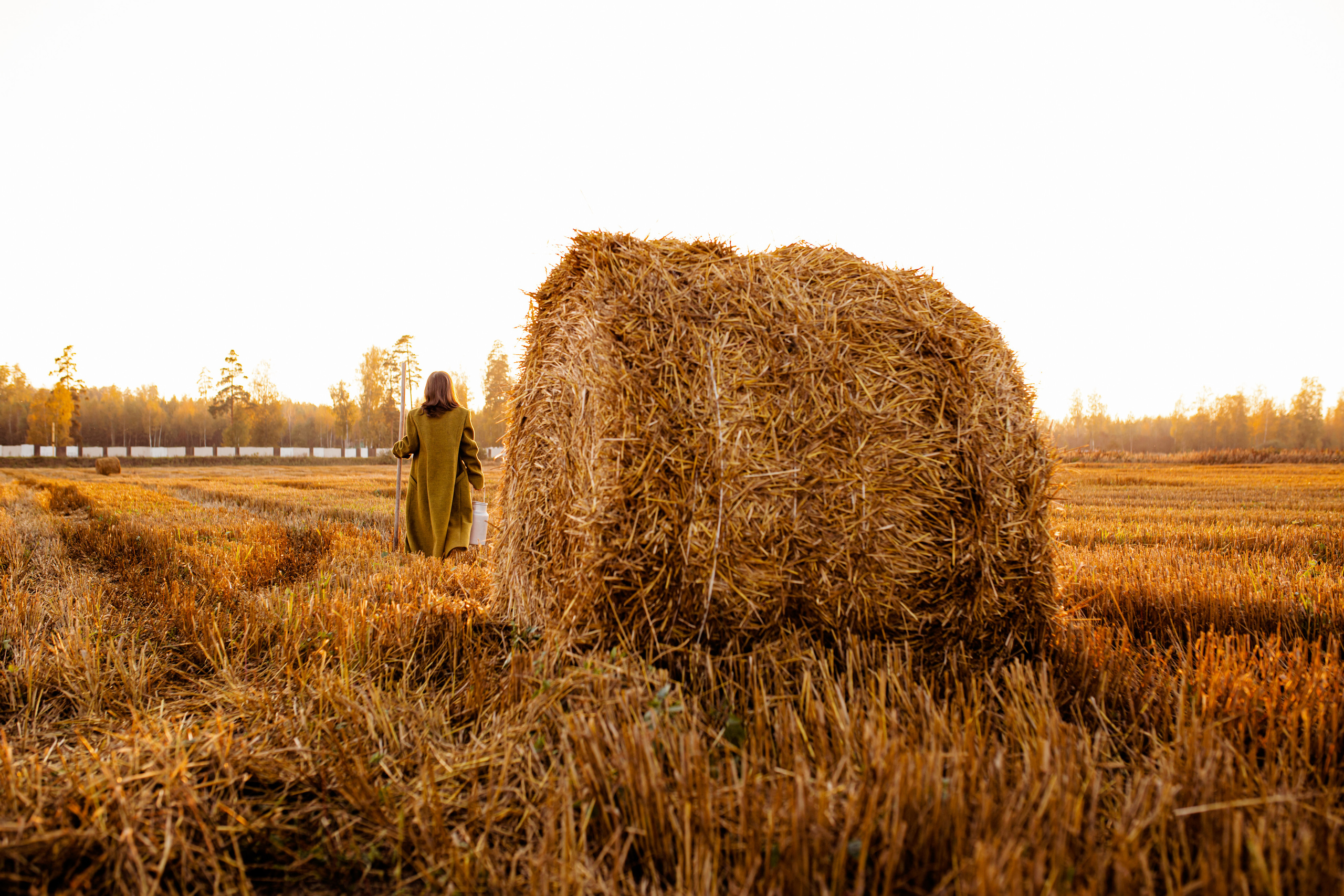 Ника. Фотограф в Москве Анна Яковлева