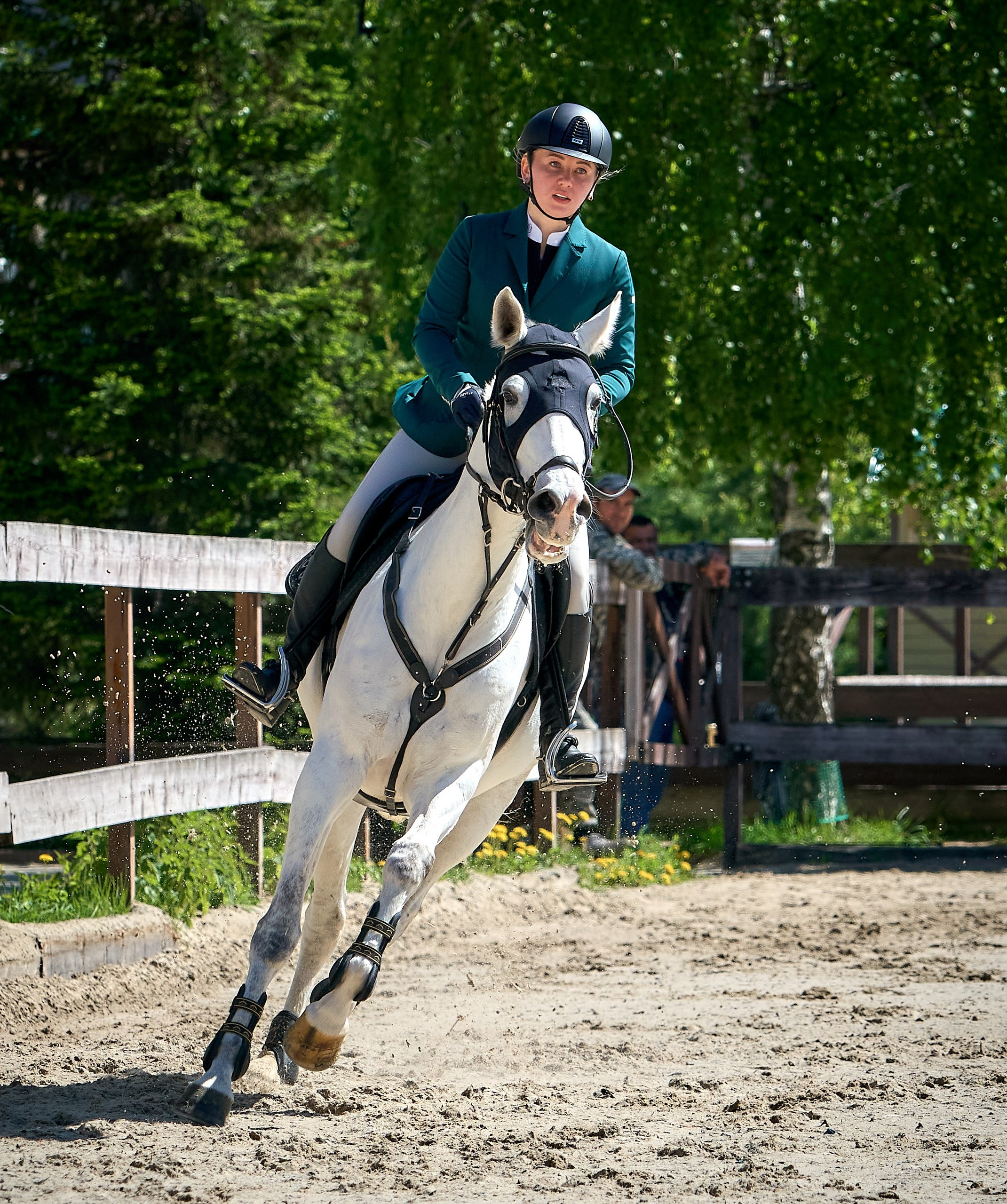 Соревнования на лошадях — галерея NATRIEL