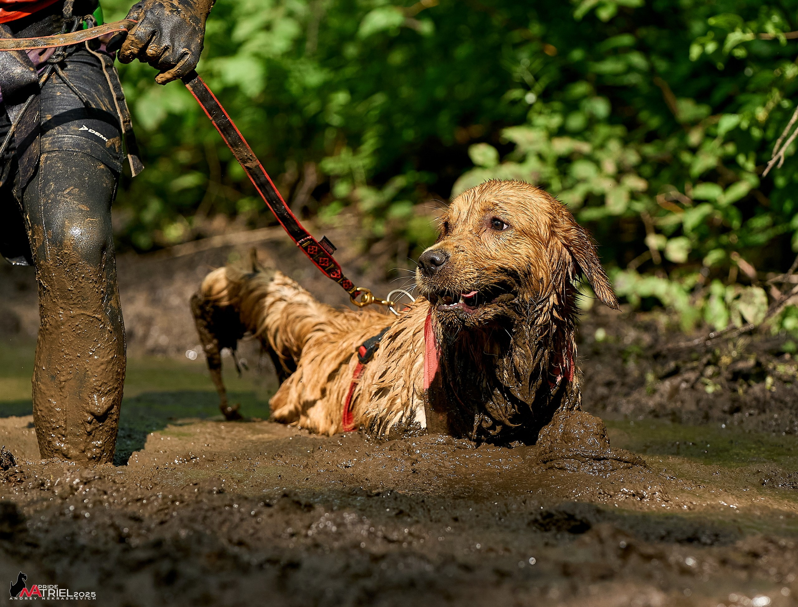 Russian Extreme Dog Trail — 2025