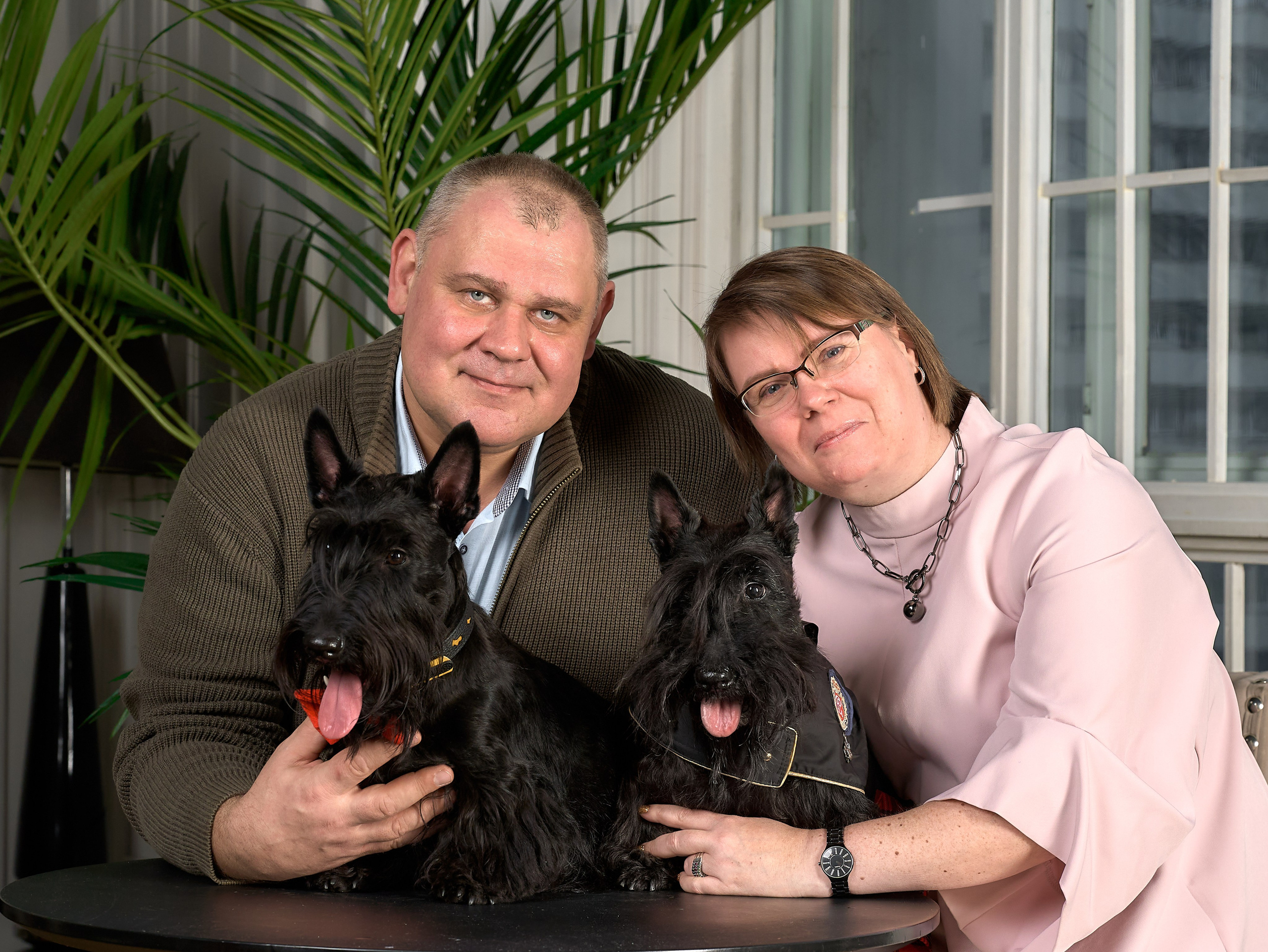 Съемка в студии со скотч-терьерами