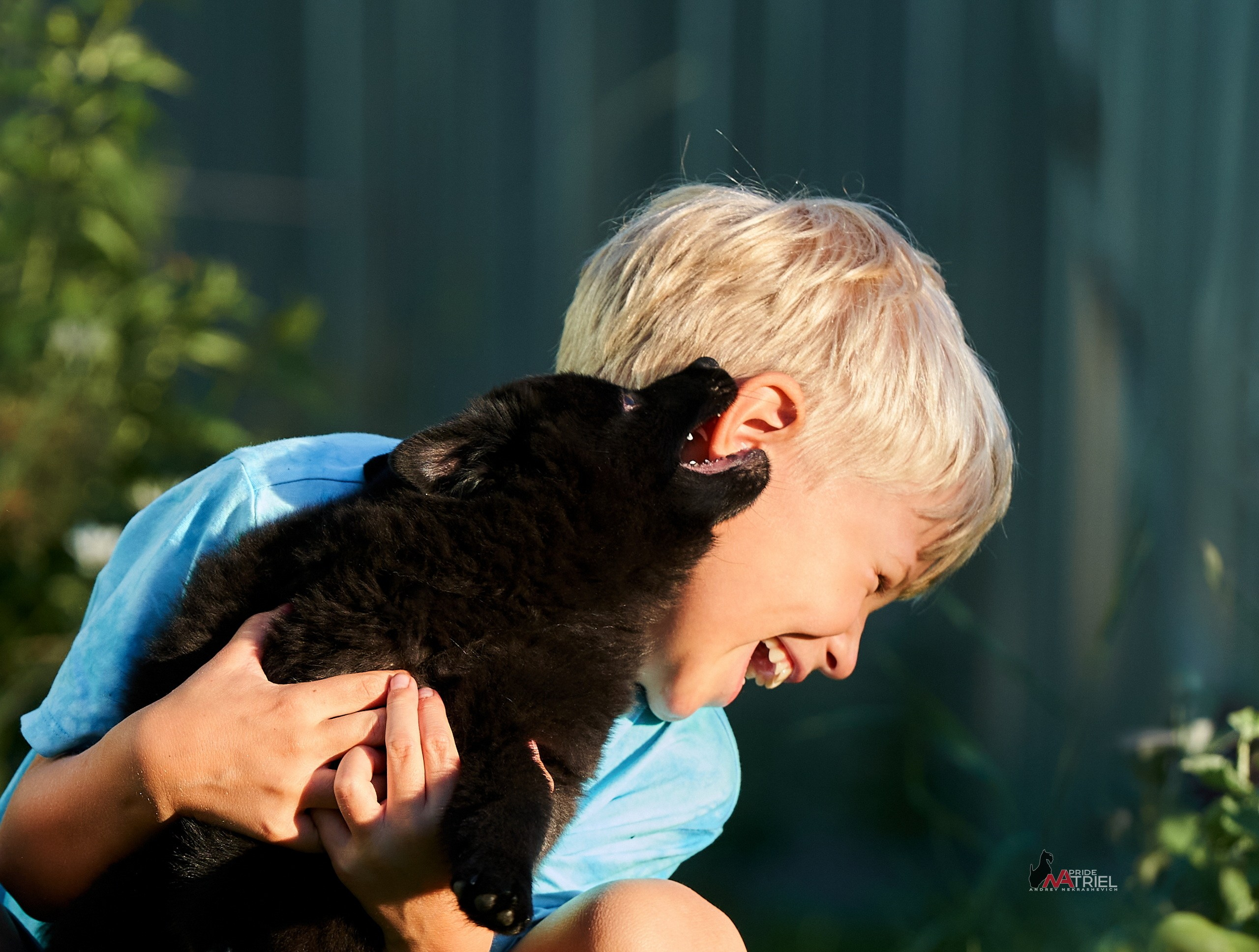 Детская фотосессия — галерея NATRIEL