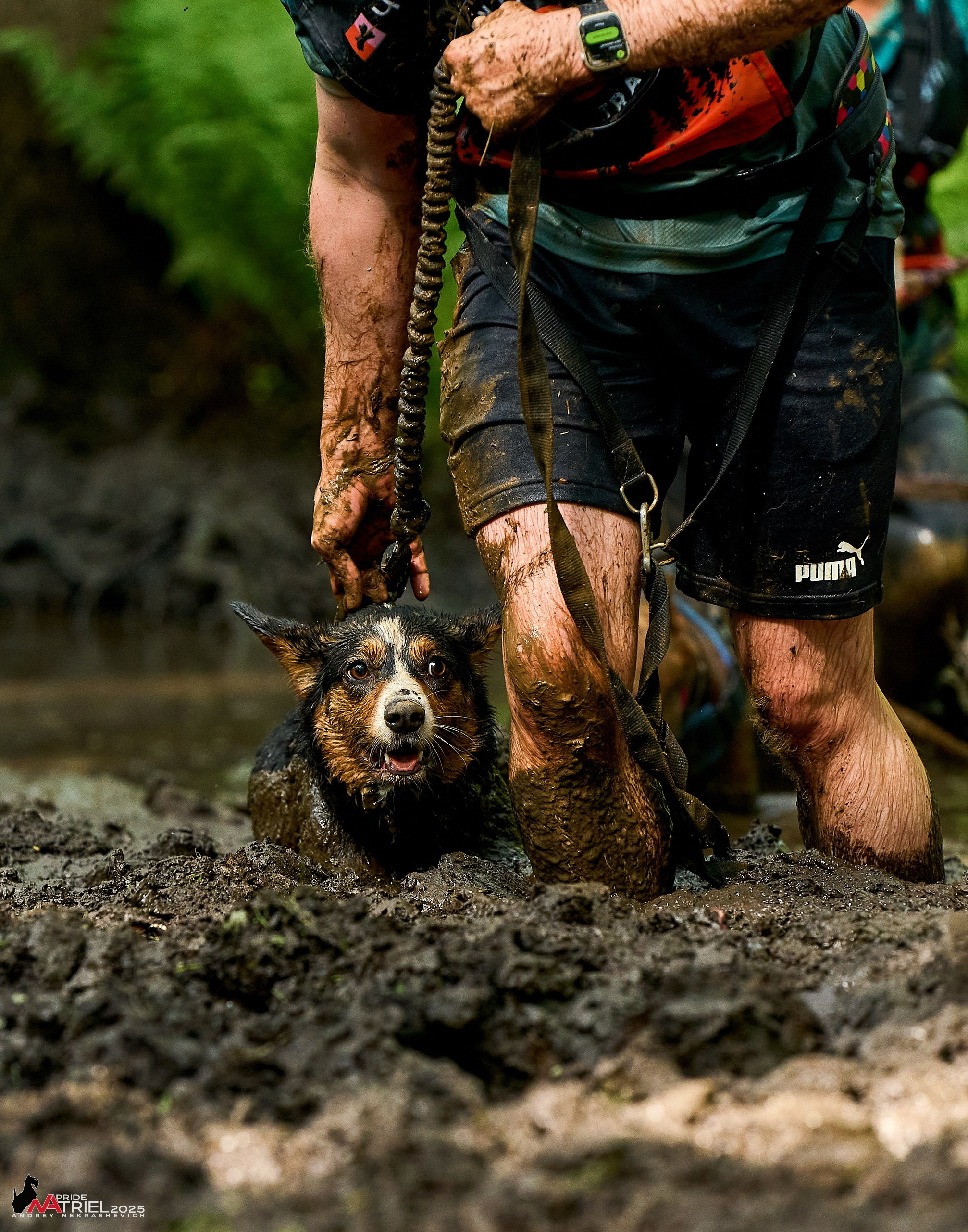 Russian Extreme Dog Trail — 2025
